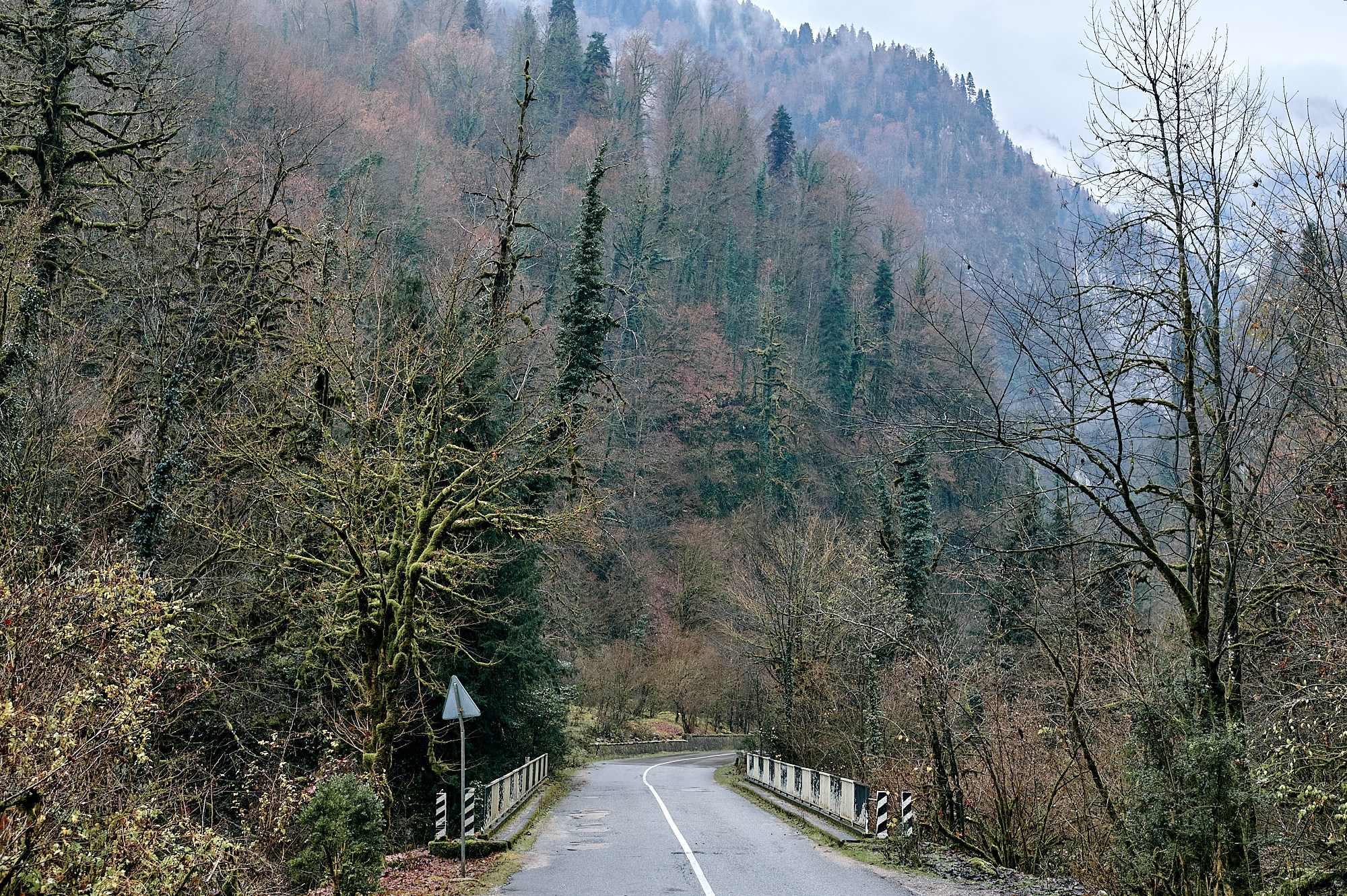 Озеро Рица, Абхазия. Декабрь 2024. Фотографии отовсюду и обо всем