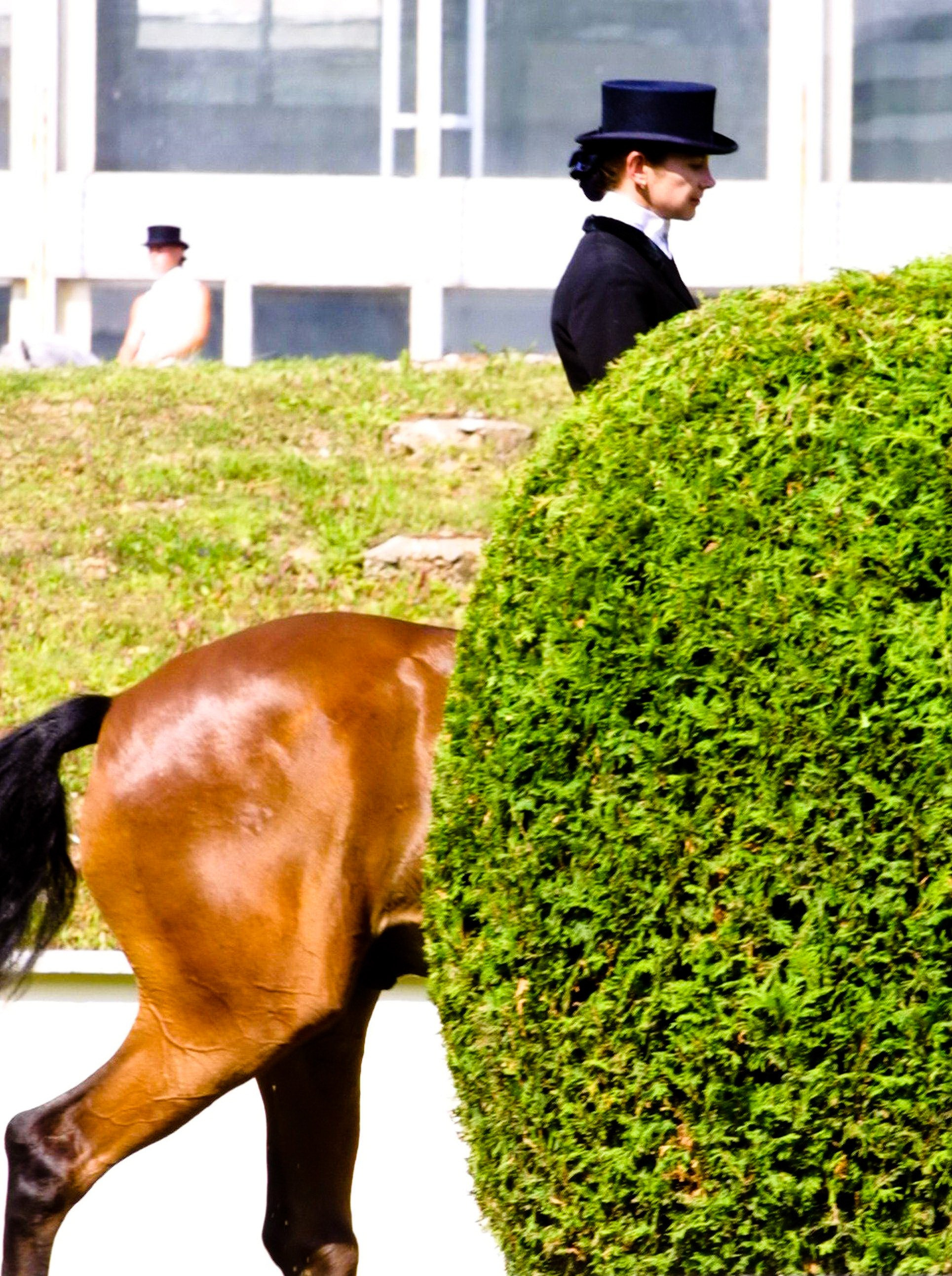 Репортажи. Фотограф в Москве Юлия Майорова