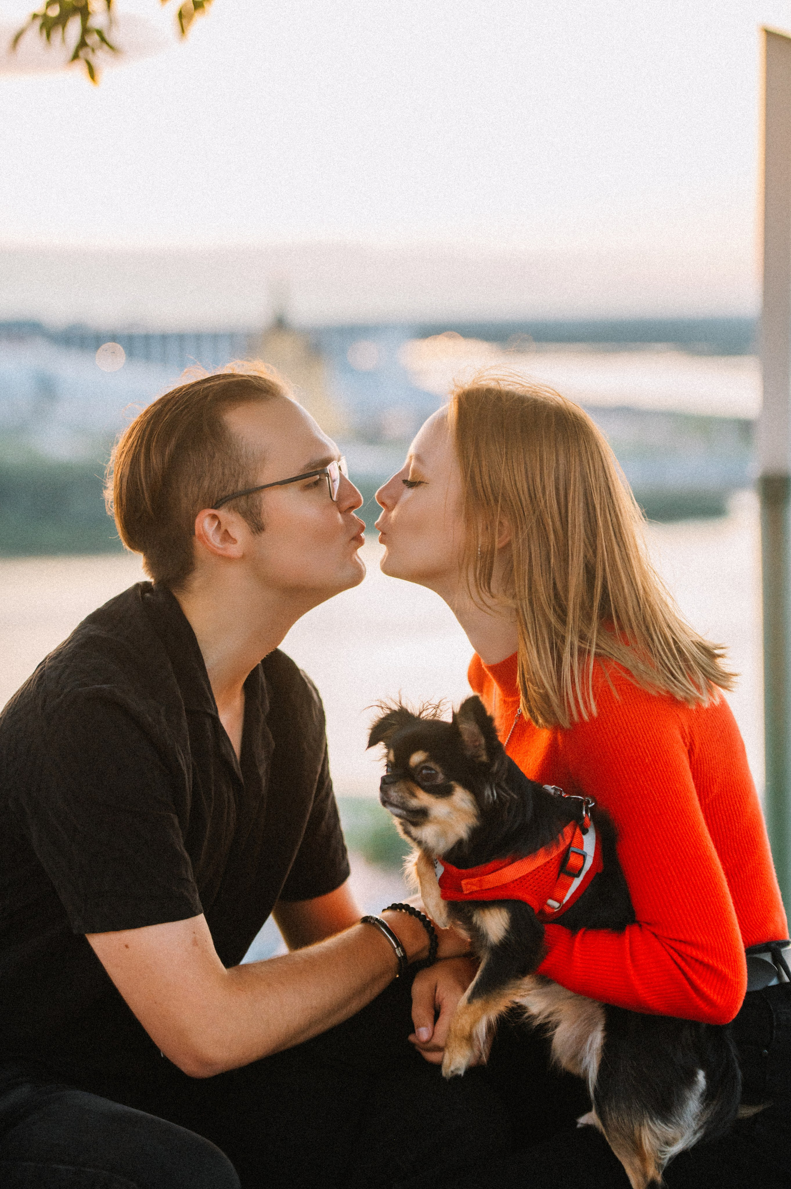 Лера, Илья и чихуахуа Наоми (Нижний Новгород, 2024). Анна Пушина, фотограф, Москва, Королев, Пушкино