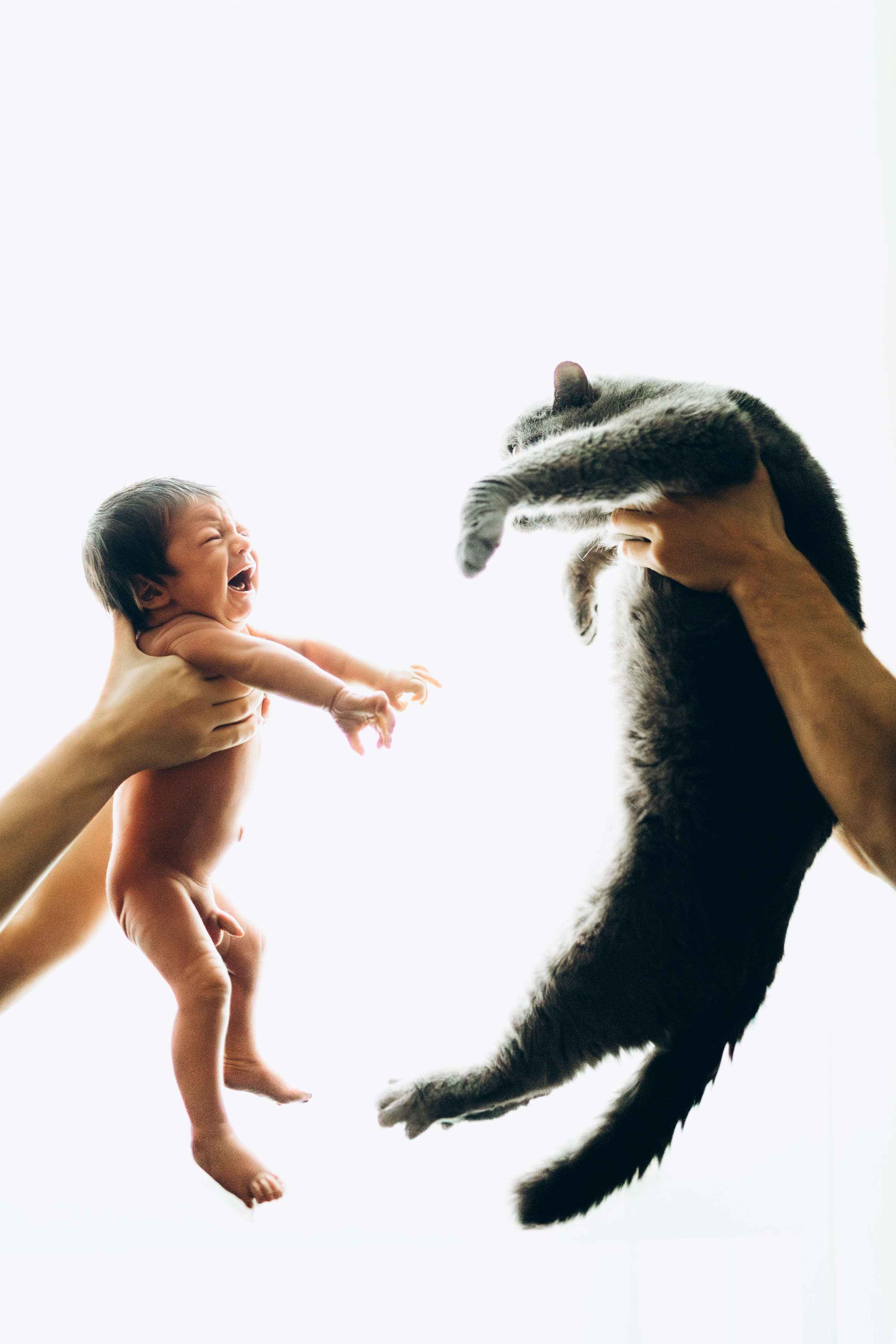 Вика, Вова и Федя. Семейный фотограф и фотограф на роды в Ростове-на-Дону Мухина Виктория