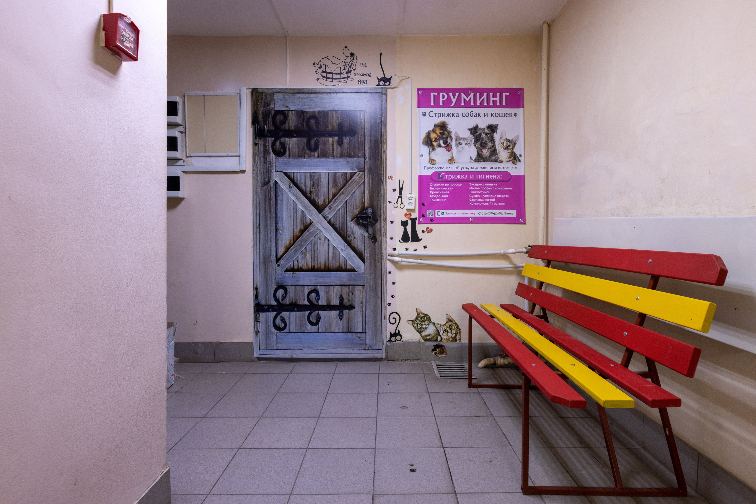 ГРУММИНГ. Фотограф в Туле Крупский АнДРей. Фотостудия «КАДР71» в Туле