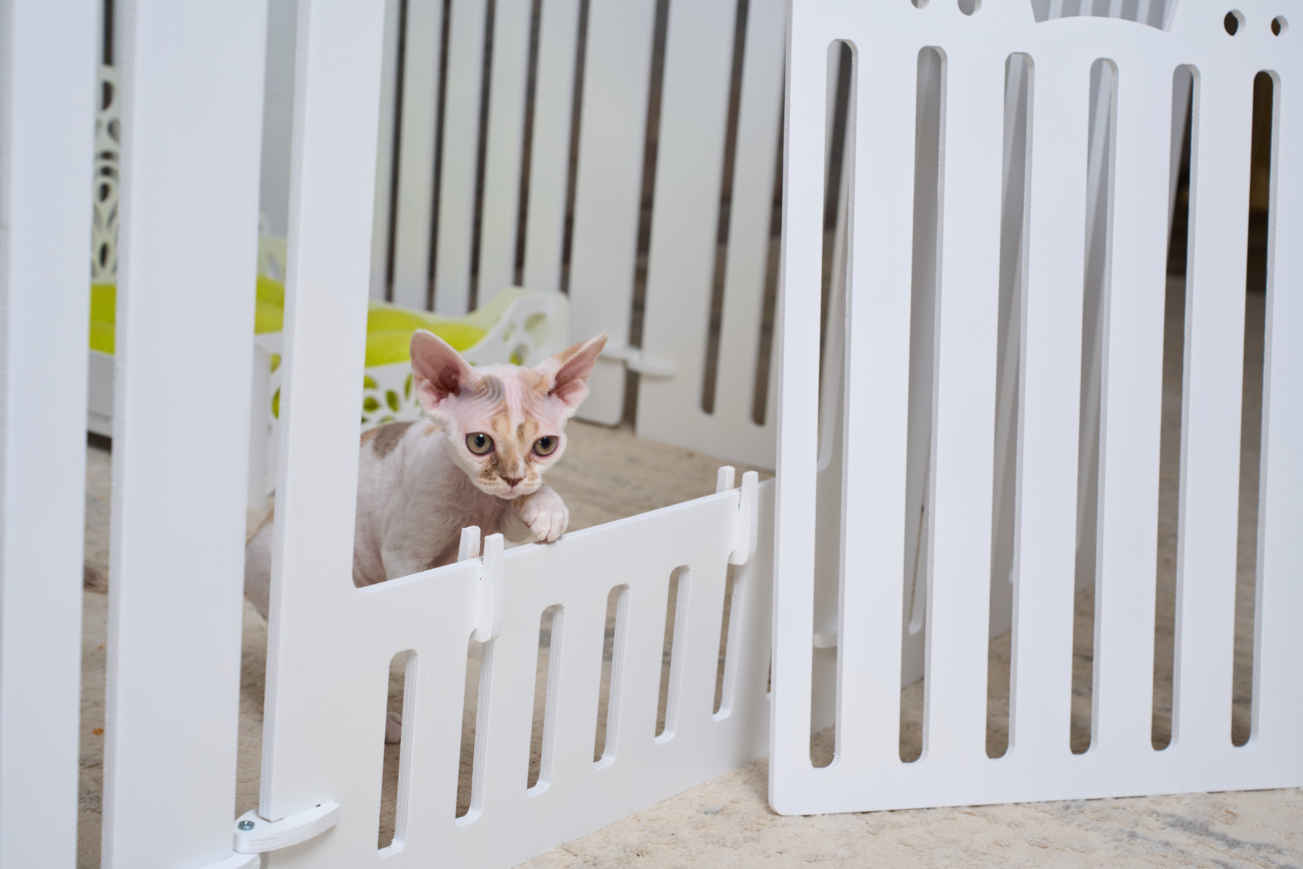 Вольер Белый (12 Секций). Murstyle