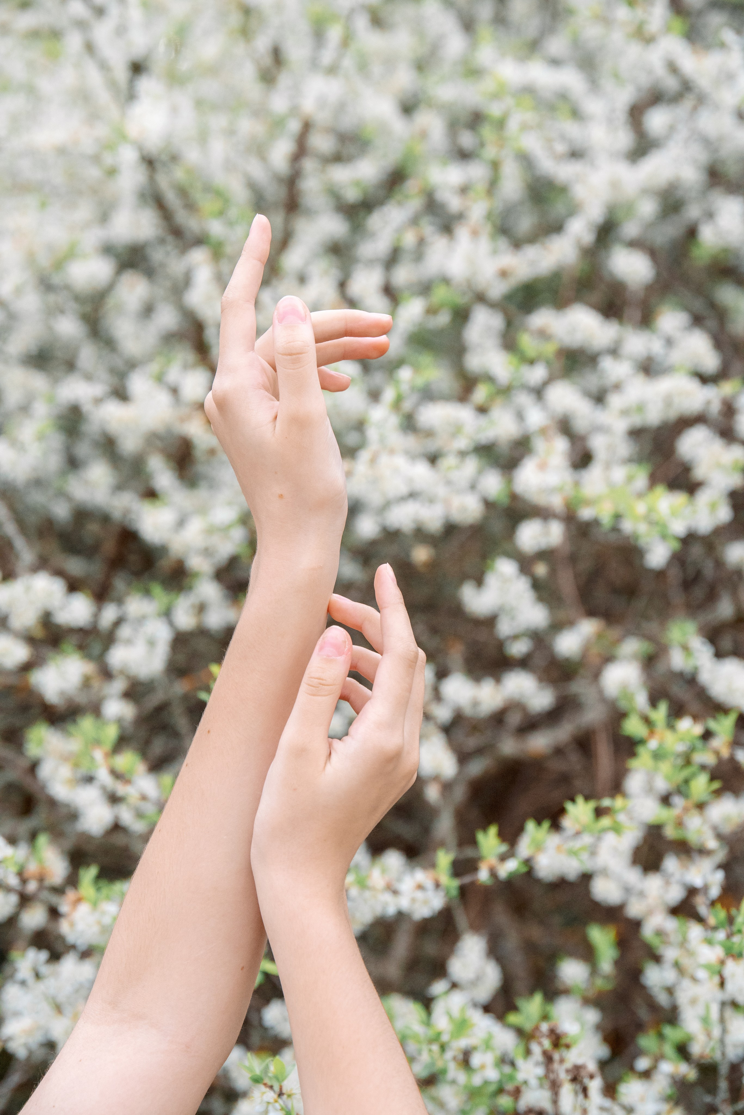 Свадебный и семейный фотограф в Белгороде Анастасия Рафальская