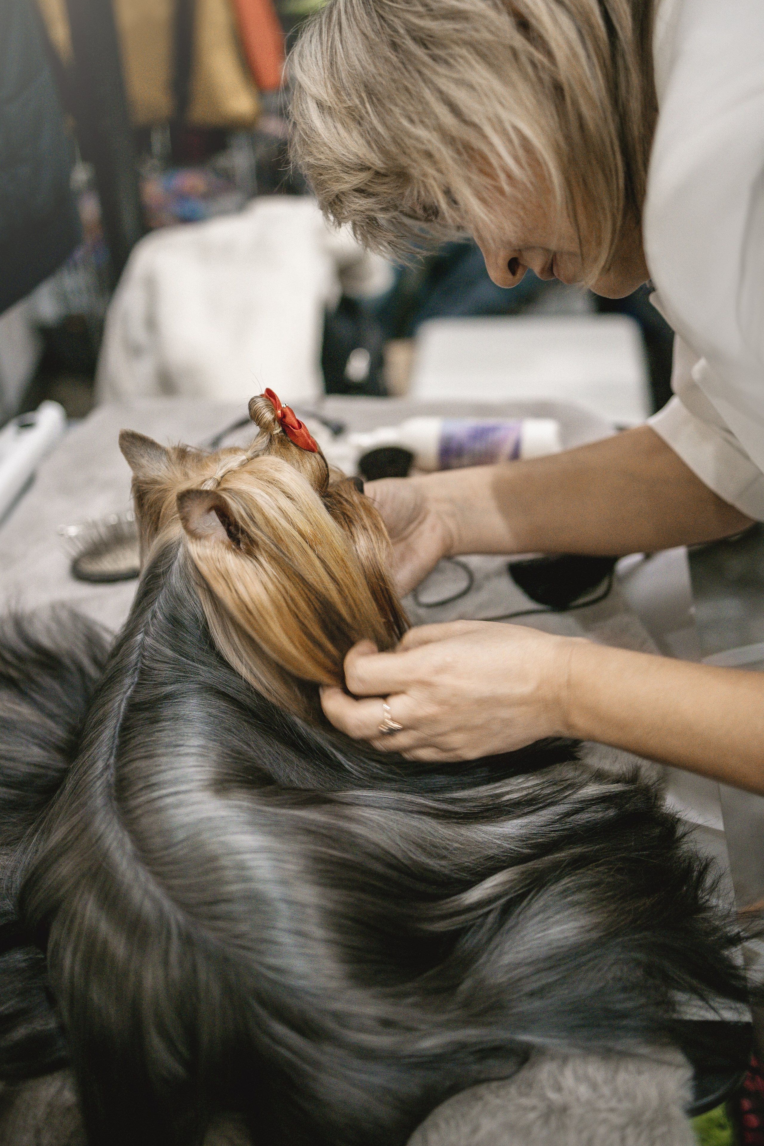 Евразия 2023. Фотограф анималист в Москве Майорова Евгения