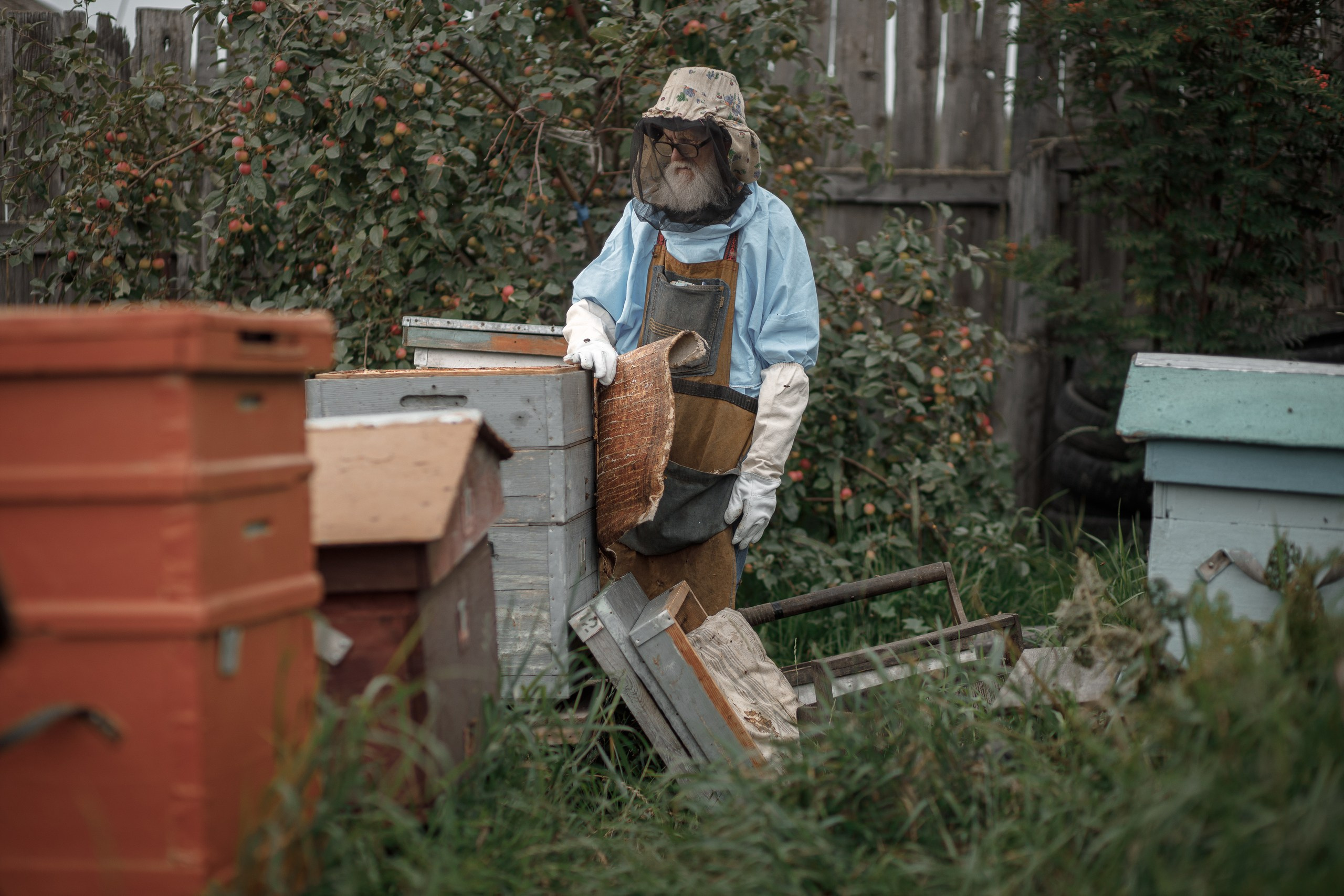 Верность делу. Фотограф в Красноярске Нерозя Александр. Пейзаж, природа, портрет