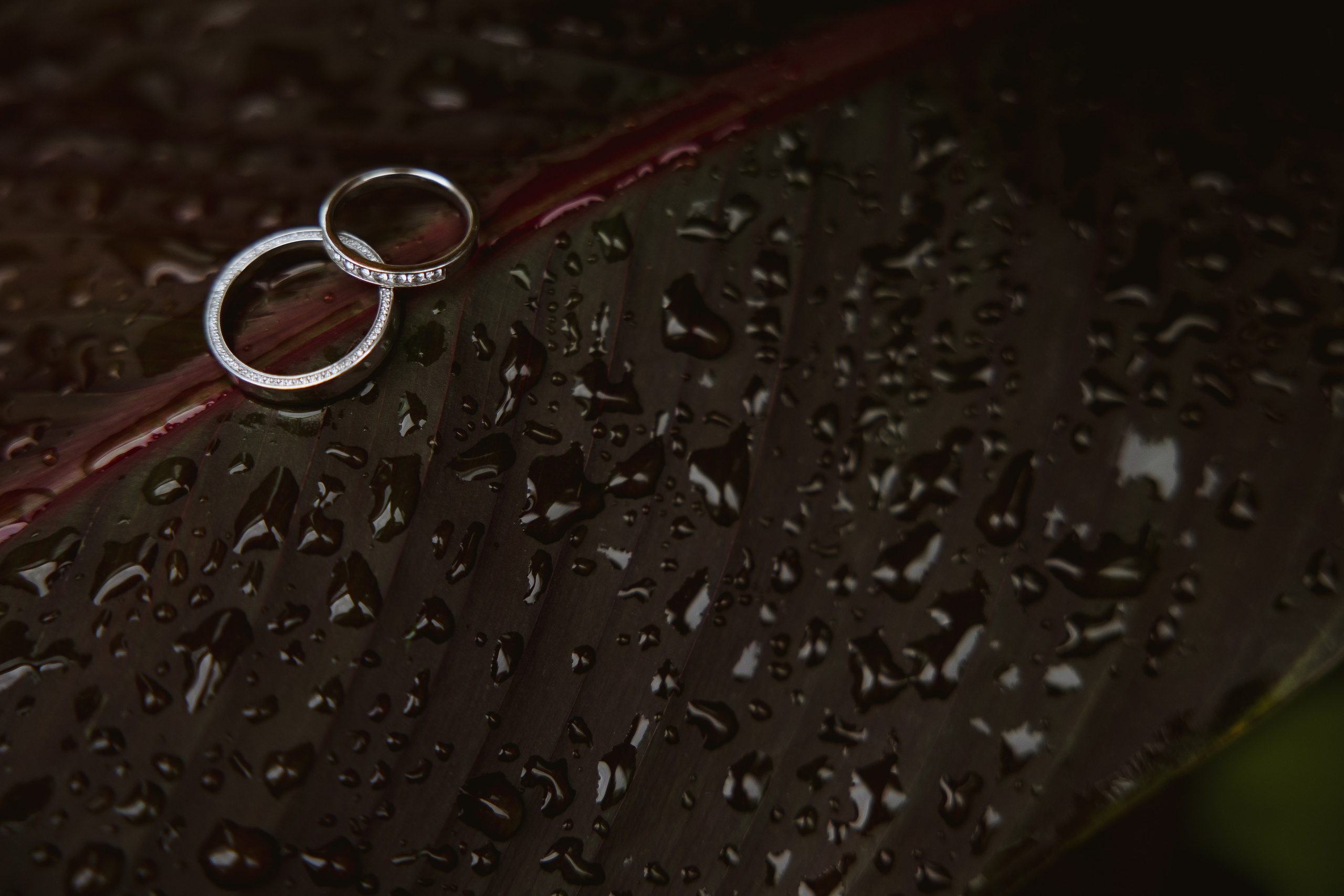 Свадебная фотосессия в Тольятти. Свадебный и семейный фотограф в Самаре и Тольятти | Елена Топанцева