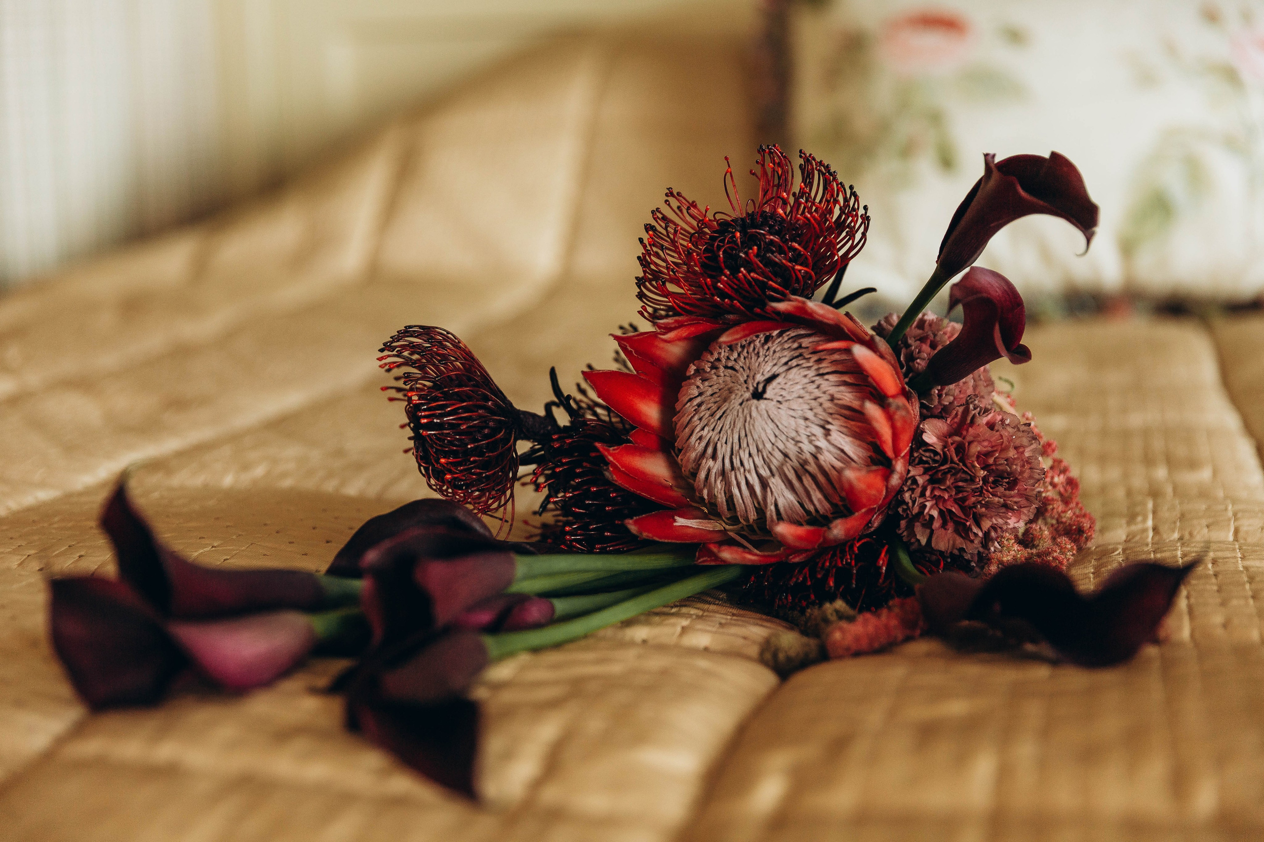 Villa Michetti. Katerina Schastlivaya