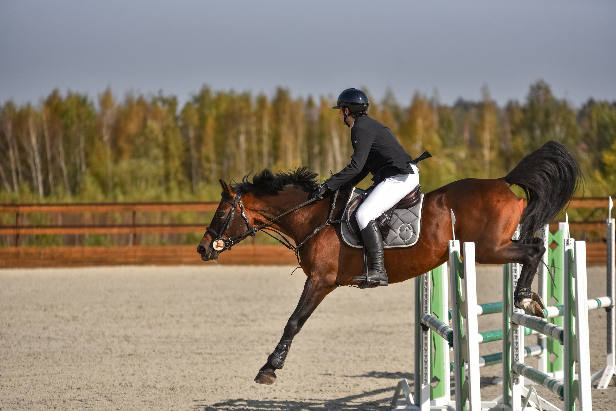 Репортажная съемка конных мероприятий. Конный фотограф из Москвы Ирина Бондаркова