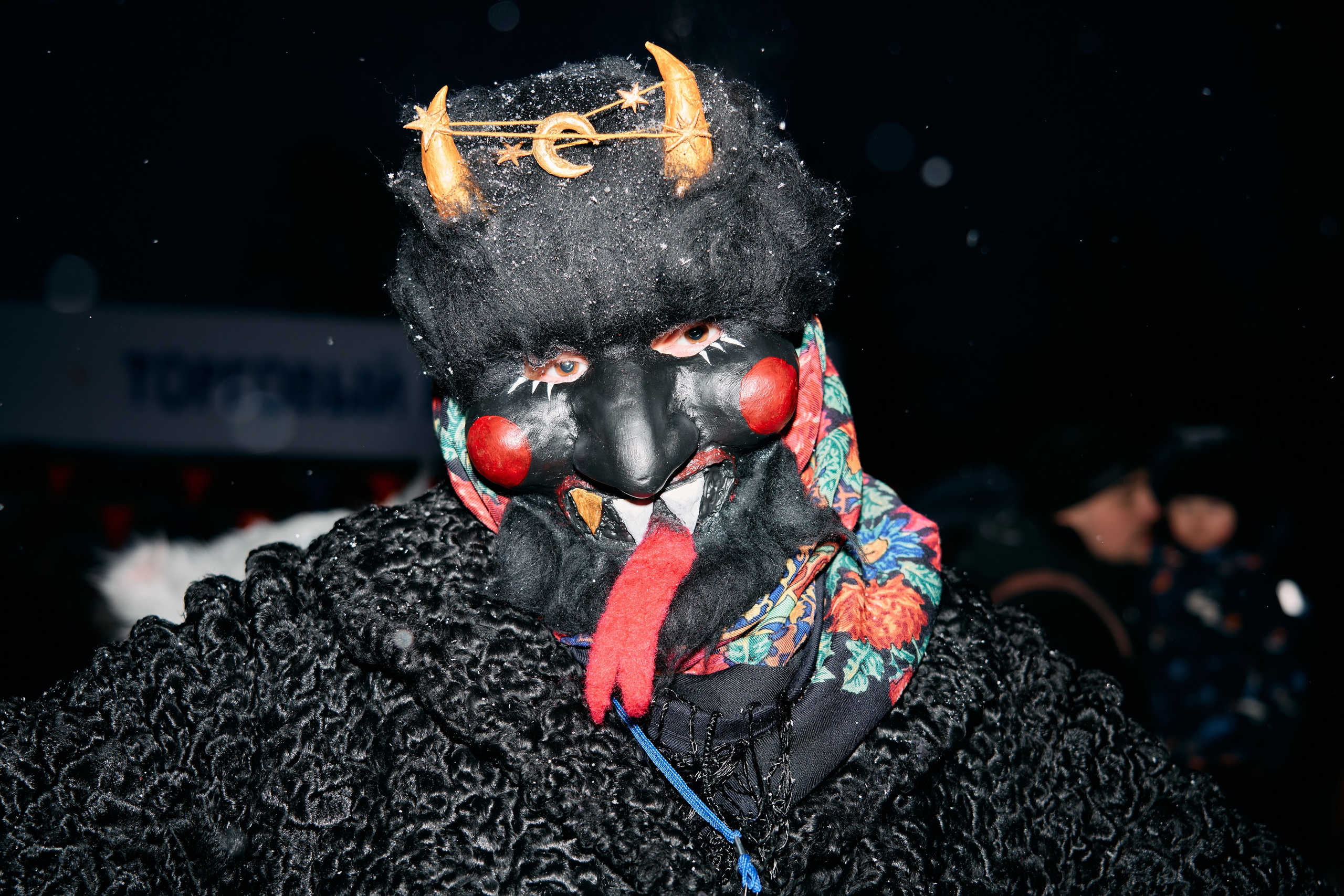 С медведем по соседям. Фотограф