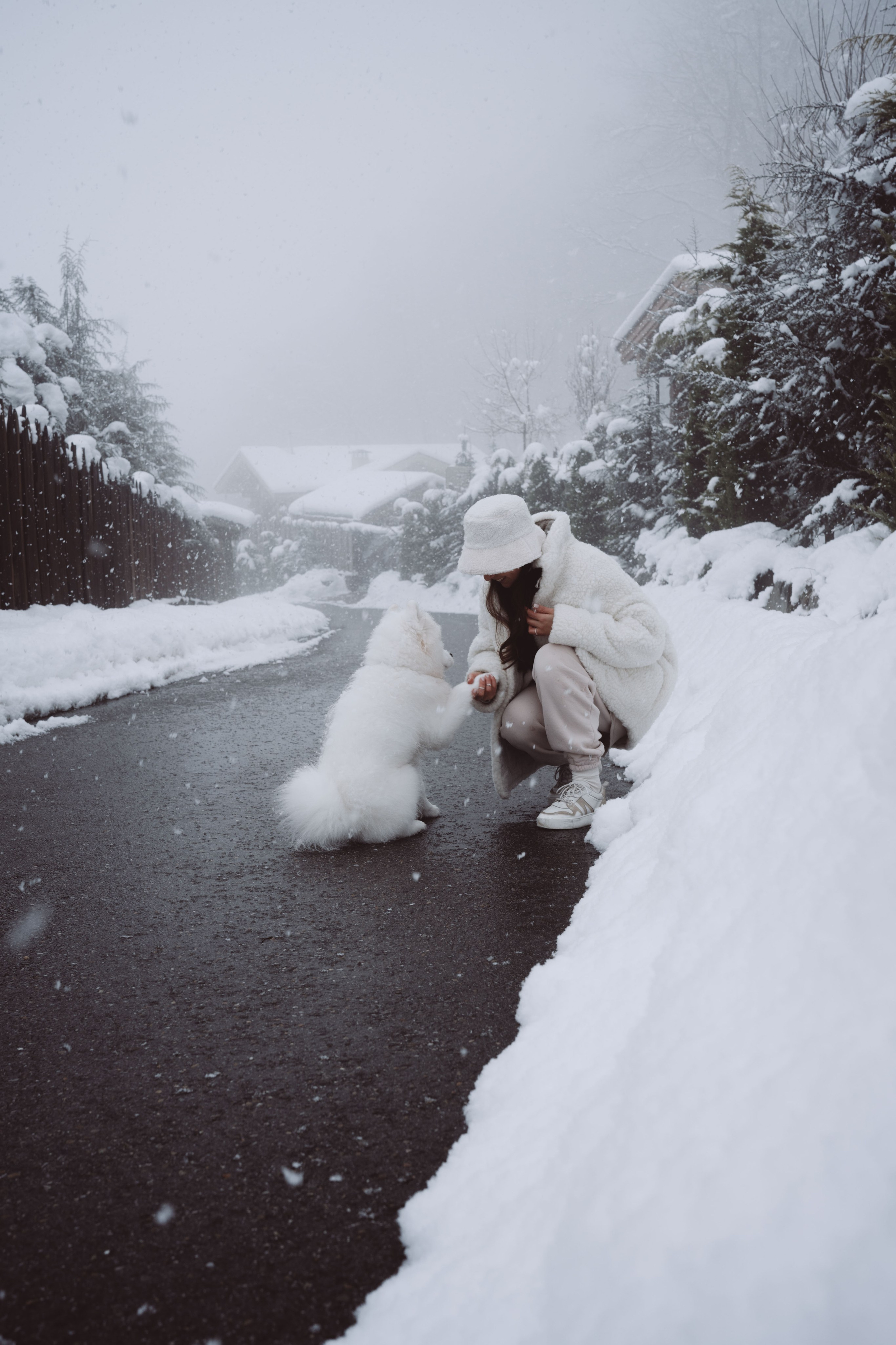 Антон, Дарья и Шани. Фотограф в Сочи Щетинина Анастасия