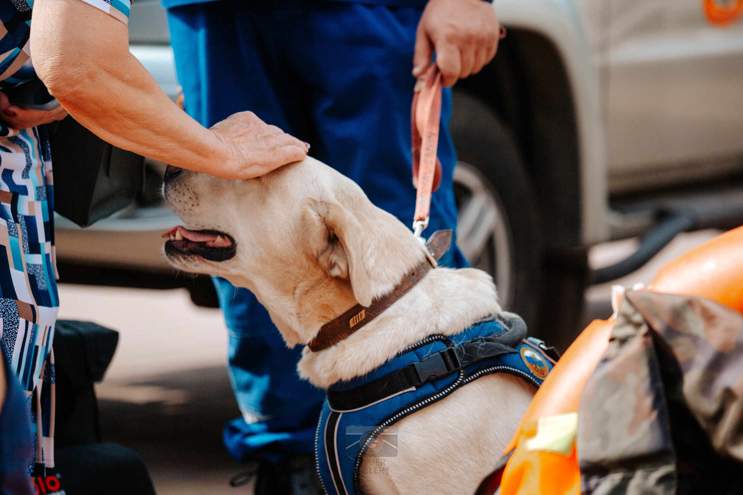 Смоленск — Акция от МЧС России «Мы первыми приходим на помощь!». KiPPER Gallery — Фотограф