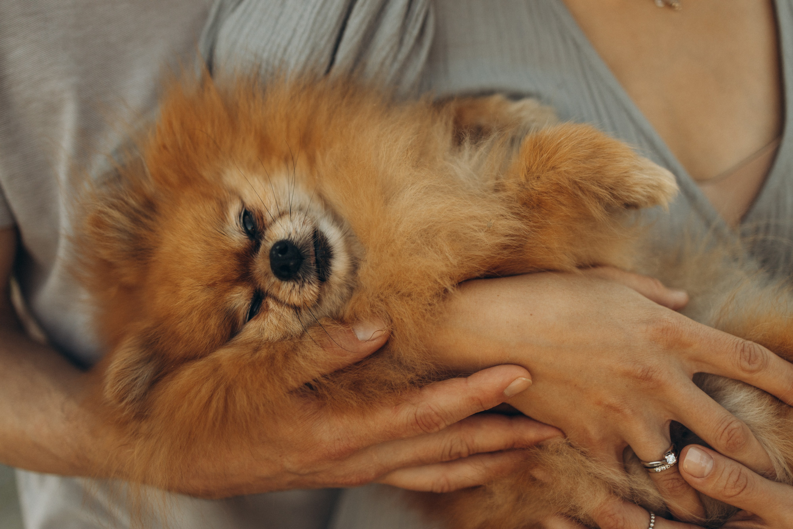 Катя. Семейный фотограф Москва Валерия Белова