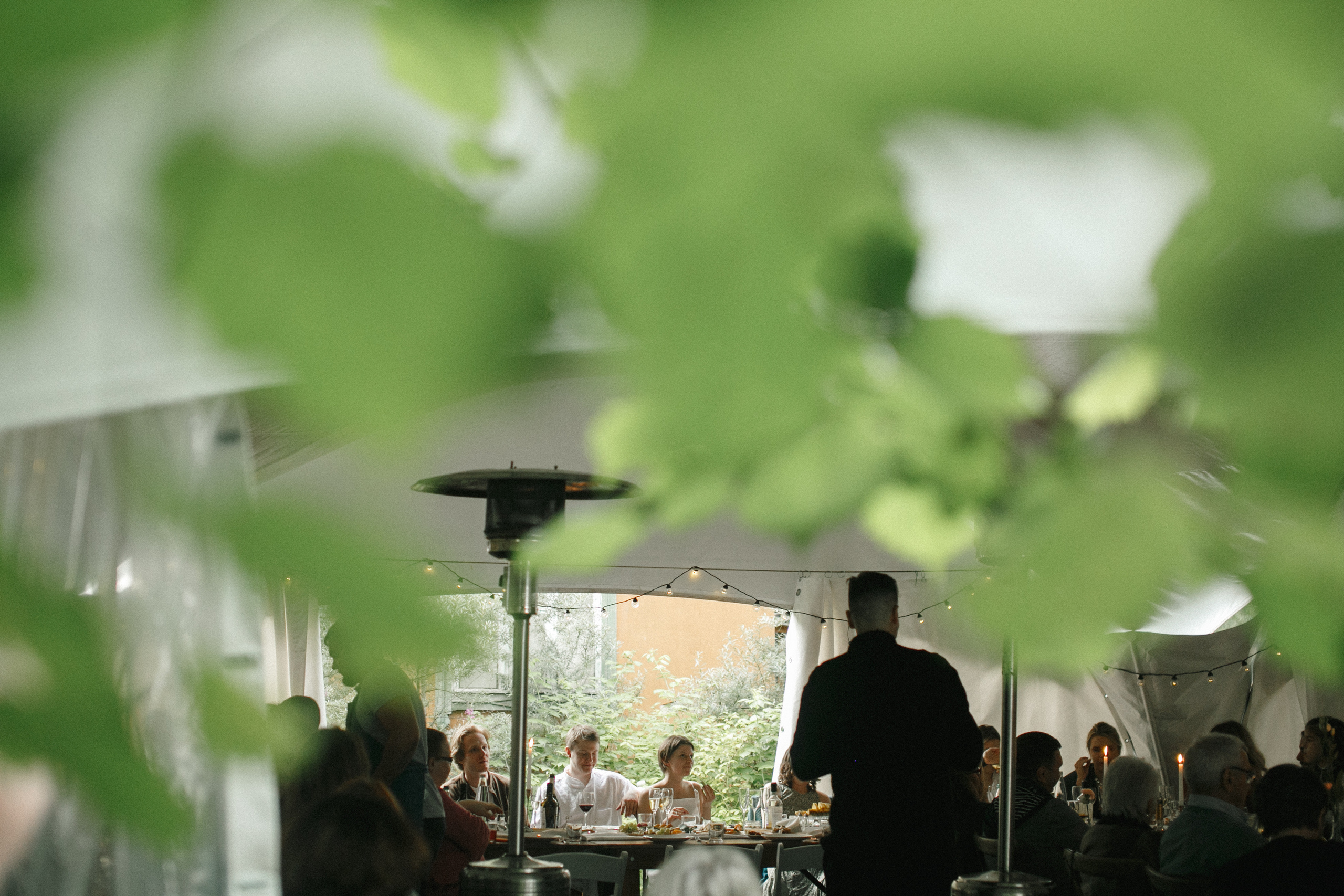 Александр и Мария. Свадебный фотограф Владимир Воронин