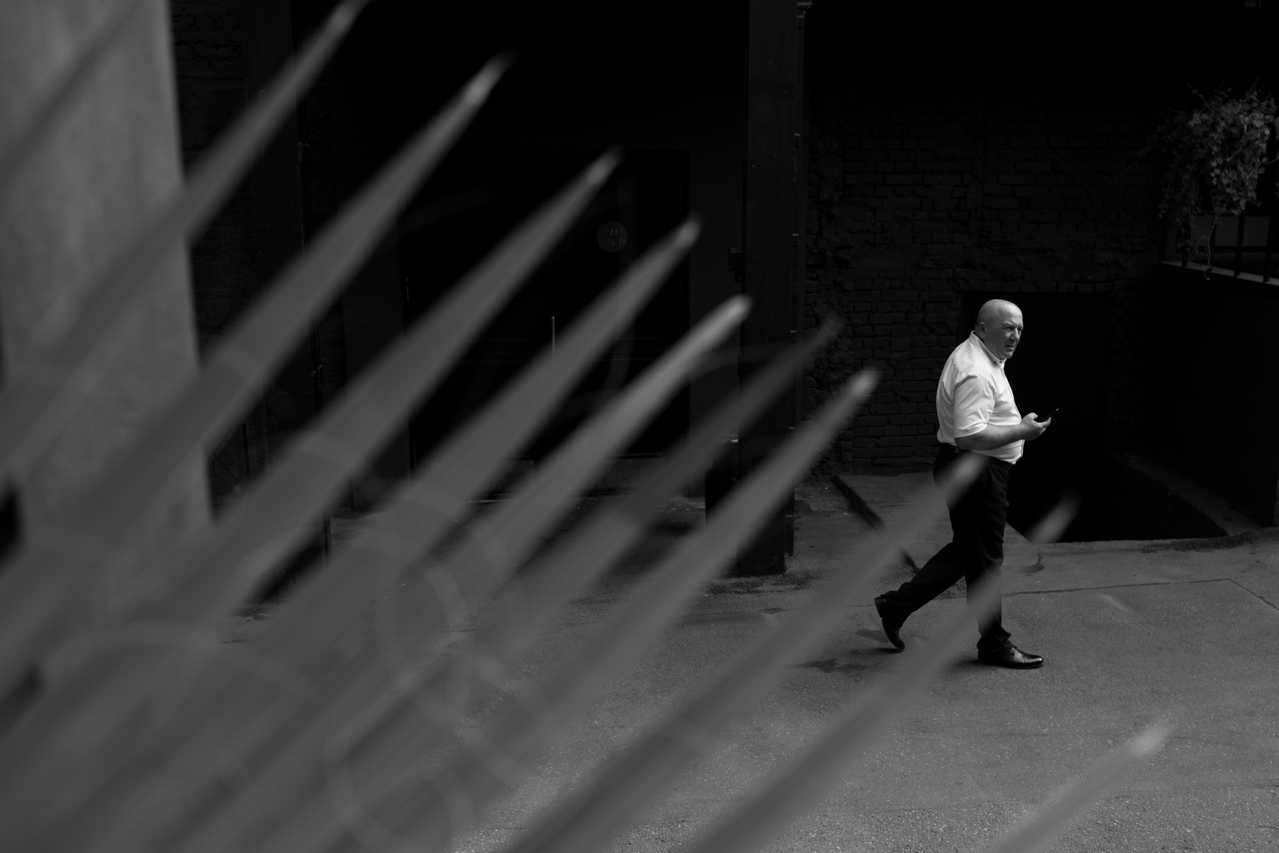 Валерий и Екатерина. Свадебный фотограф Владимир Воронин