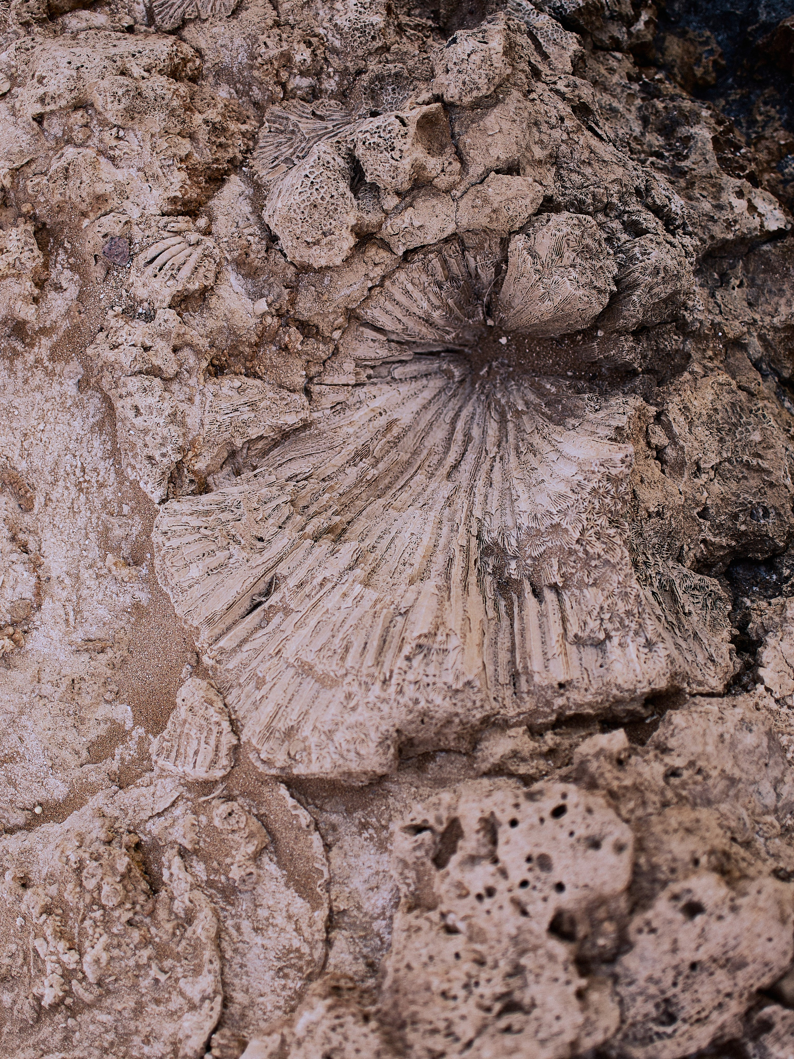 Другое 2. Jorgis Talè — photographer, kind person, teacher of arts and other mag