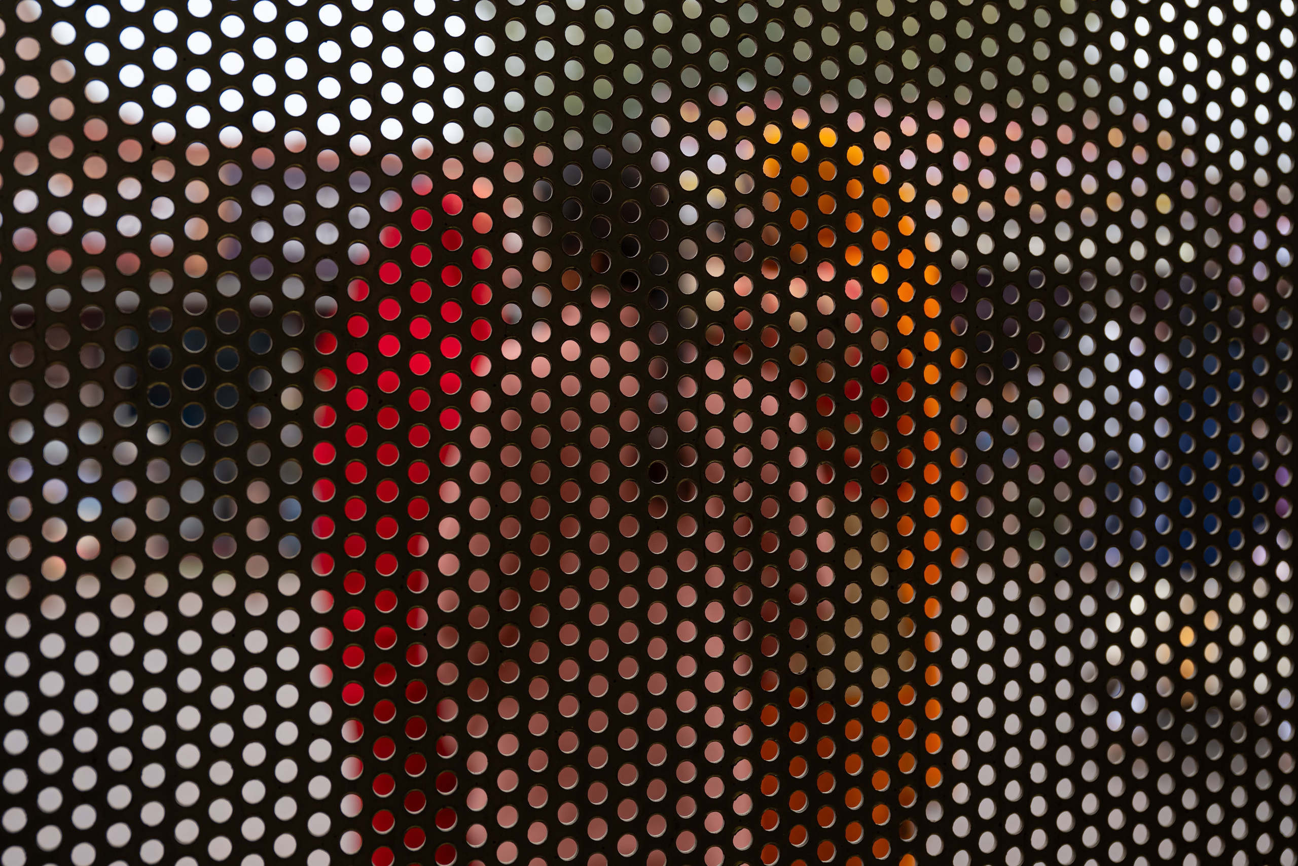 Light. Dimitri Bakhtadze photographer