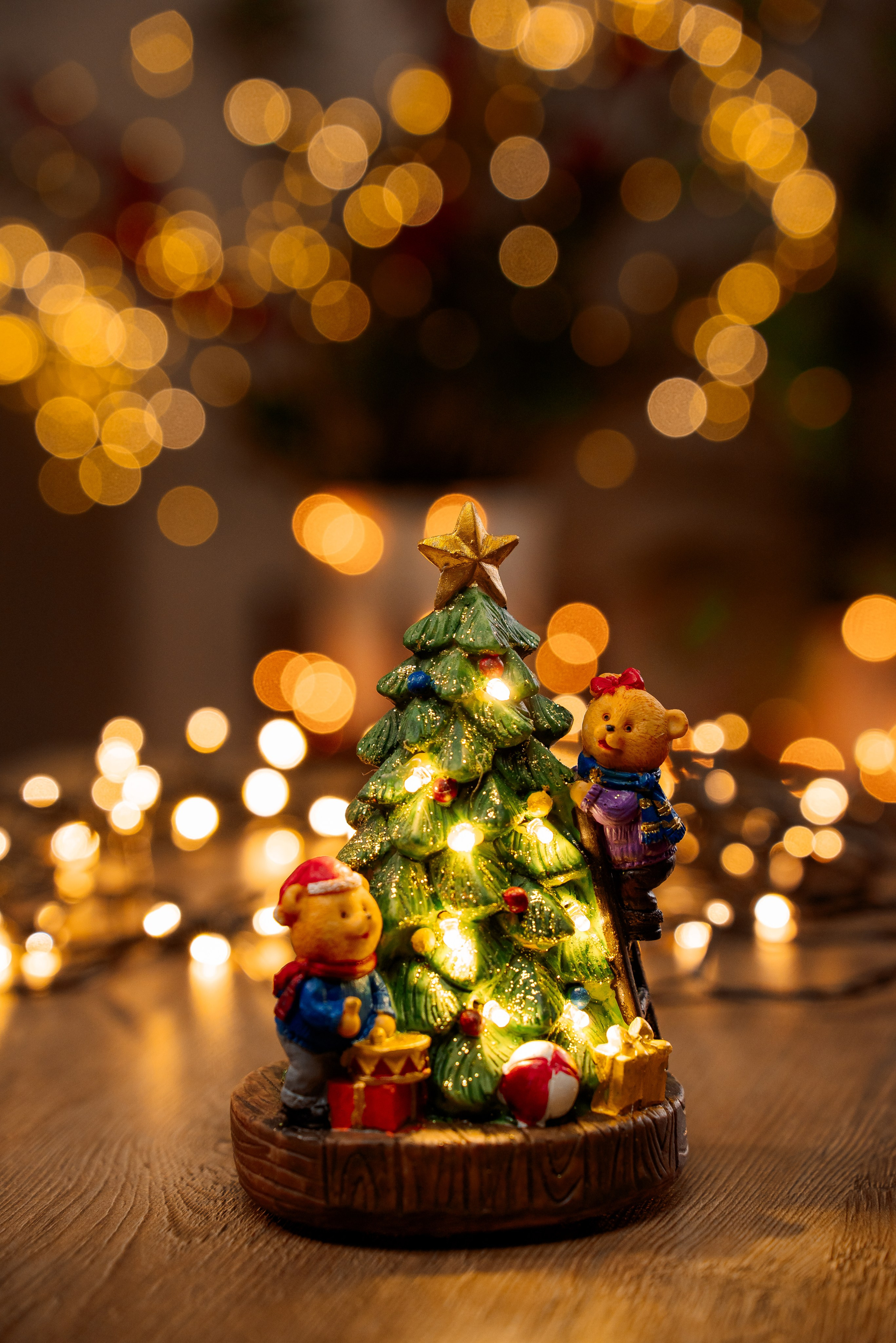 Ёлки. Фотограф Краснодар Николай Андросов