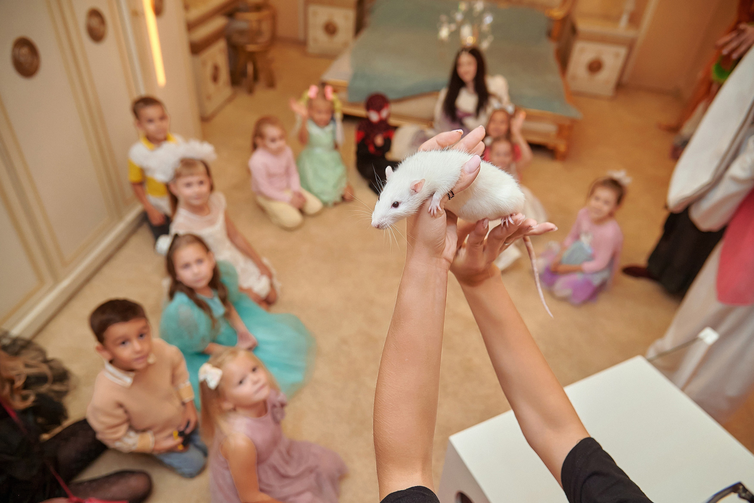 Портфолио репортажной фотосъёмки: Звёздный Дом Деда Мороза. Фотограф Яковлев Роман — Красноярск