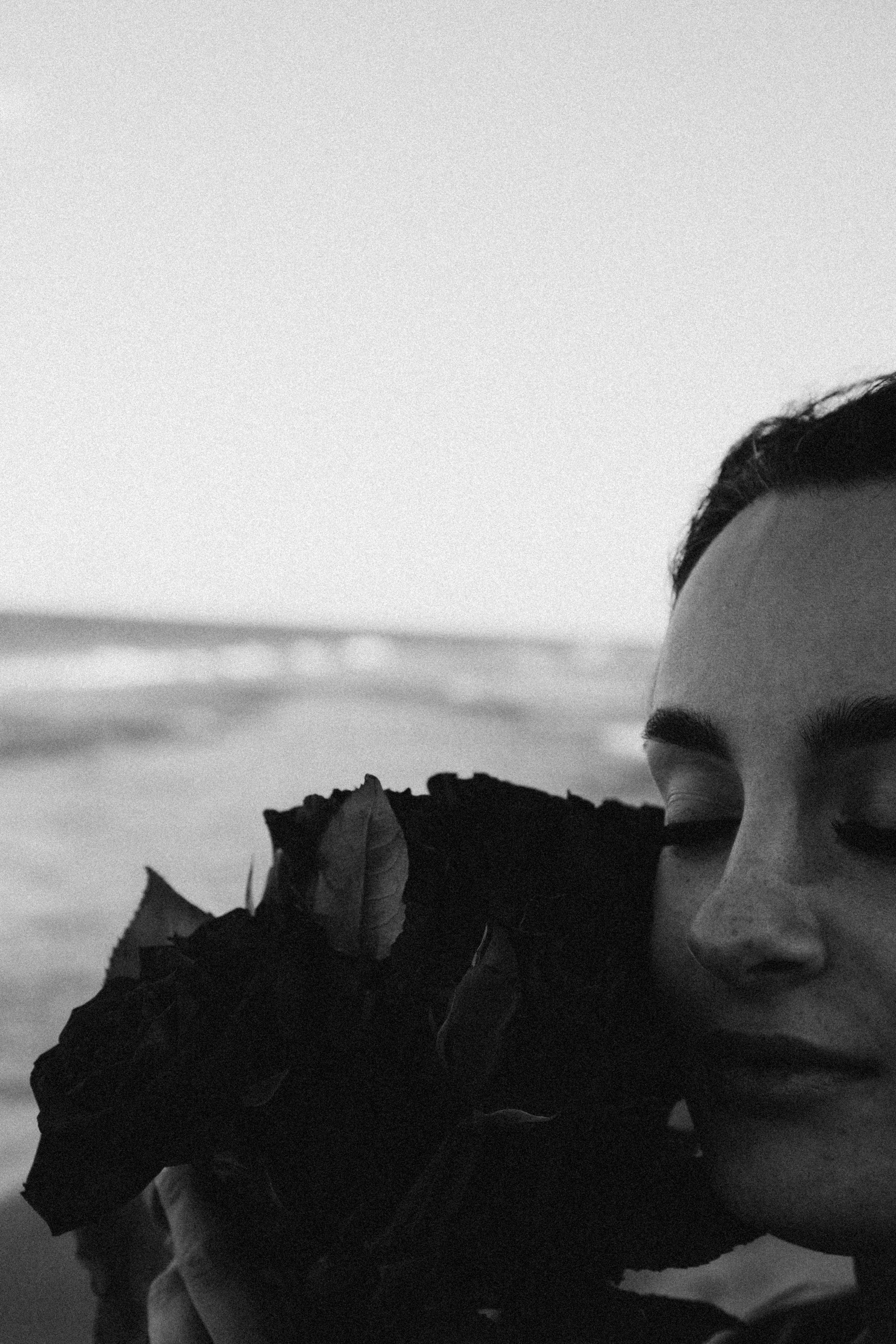 Розы. Профессиональный фотограф, Санкт-Петербург — Виктория Богомолова