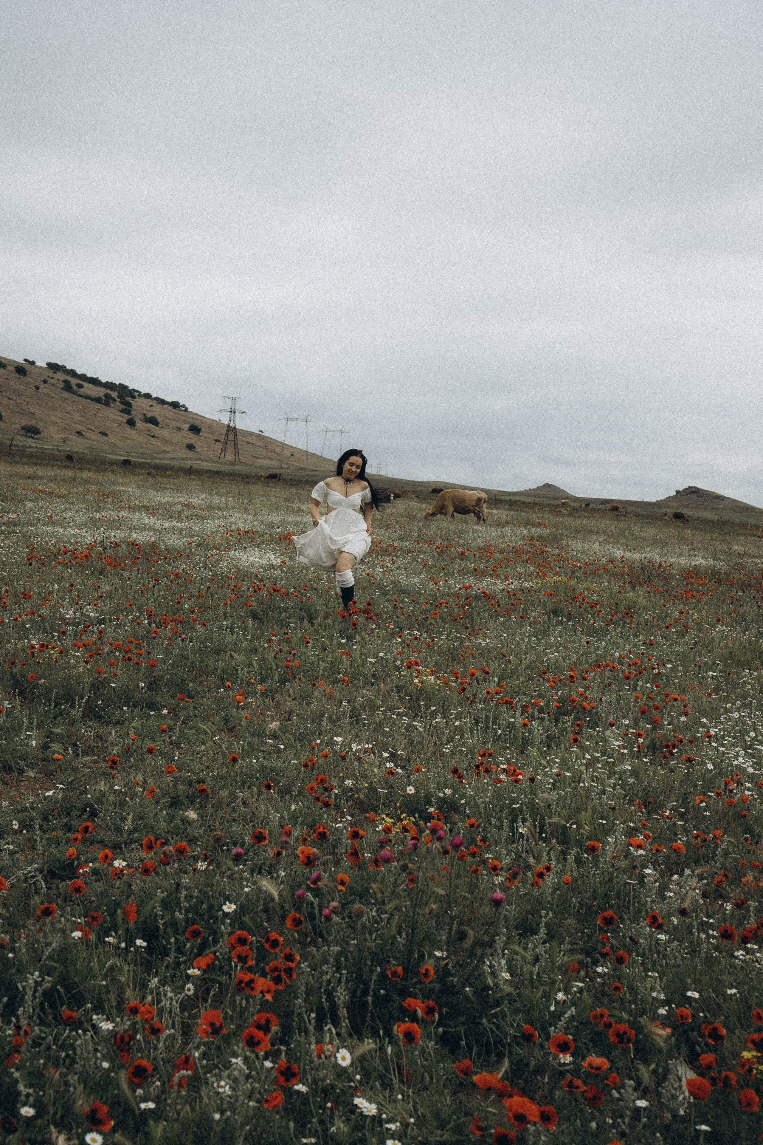 Маковое поле. Профессиональный фотограф, Санкт-Петербург — Виктория Богомолова