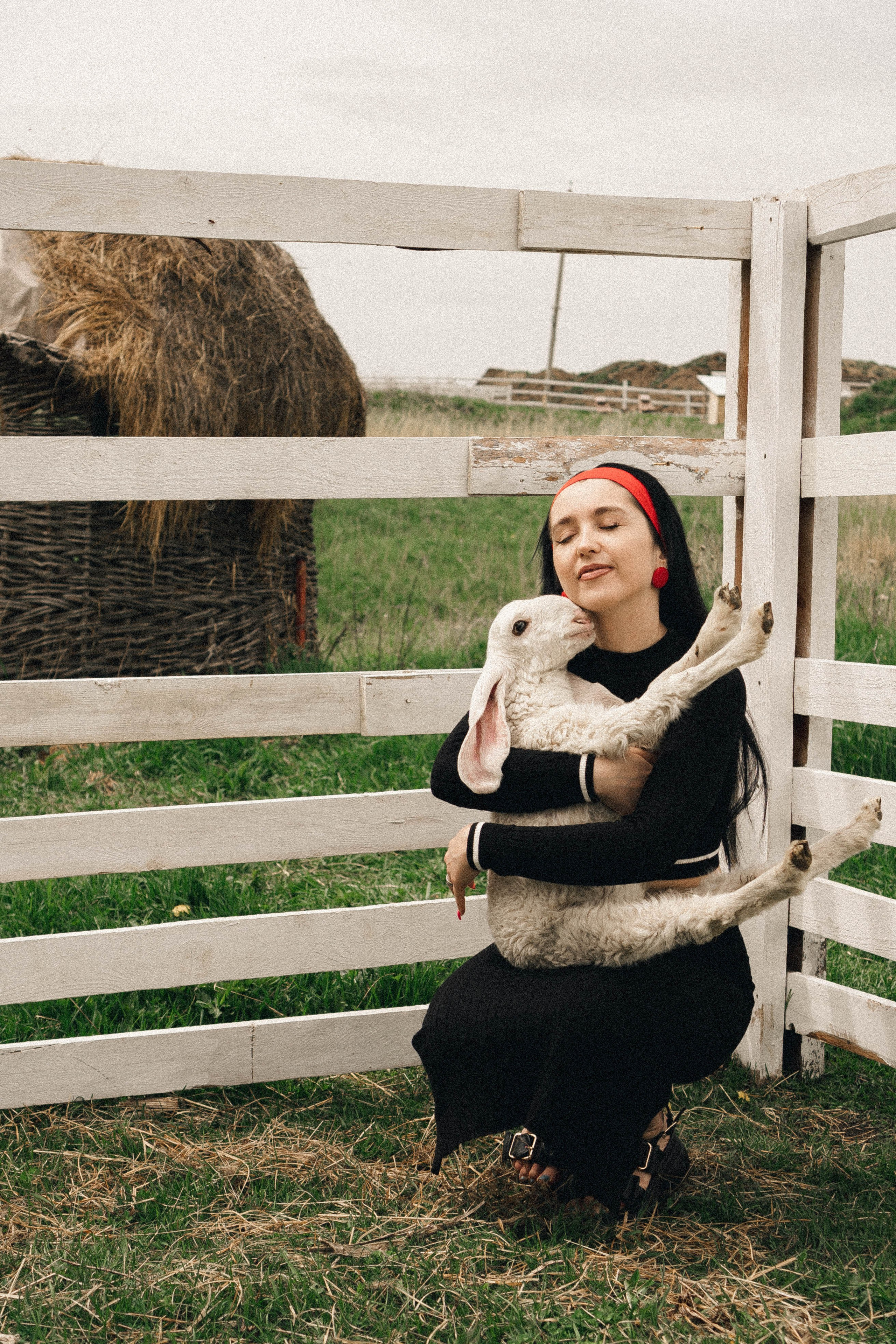 Ферма Альпак. Профессиональный фотограф, Санкт-Петербург — Виктория Богомолова