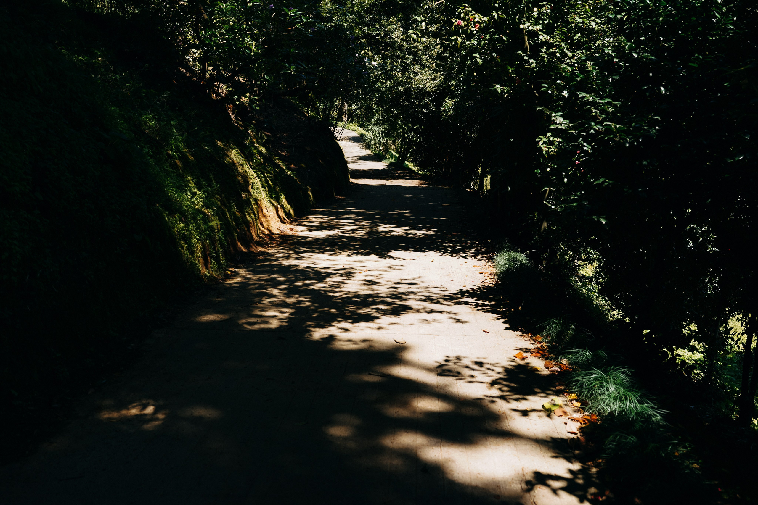 ГРУЗИЯ. Ася Краснова