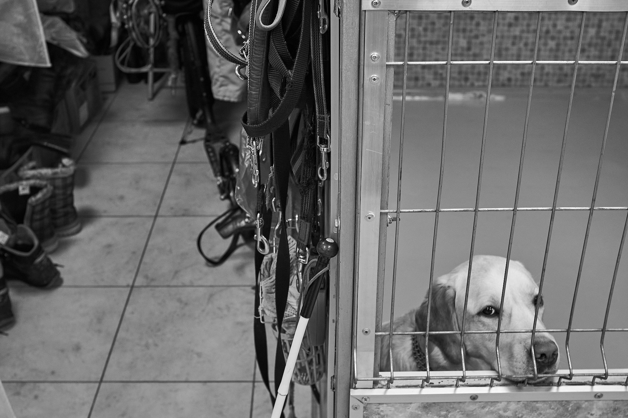 Больше, чем проводник. Промышленная и репортажная фотография