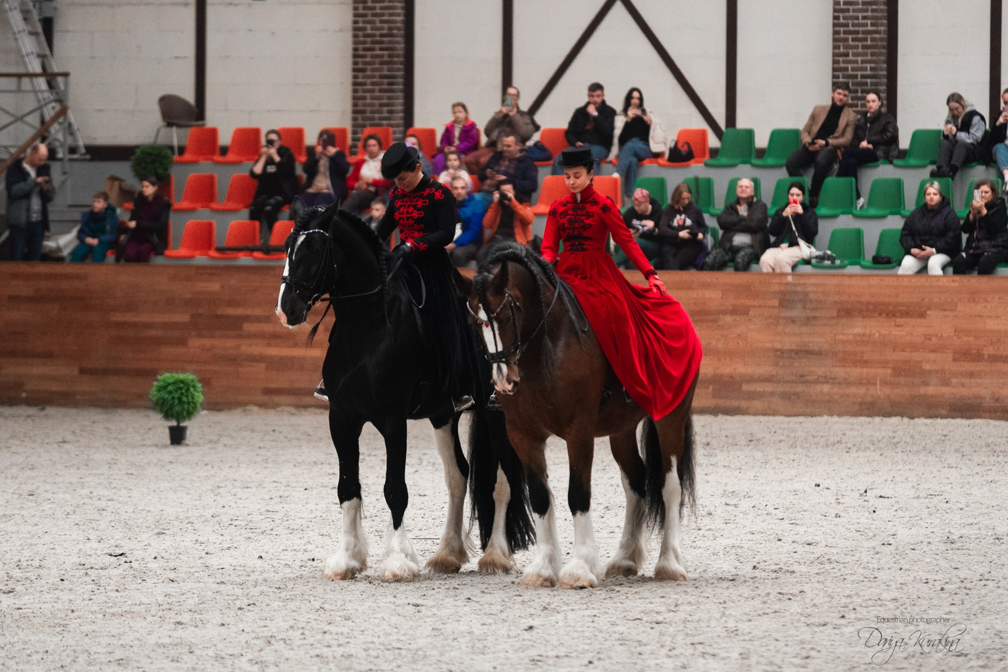 8-я международная выставка Конная Россия. Конный фотограф Куракина Дарья • Фотосессии с лошадьми