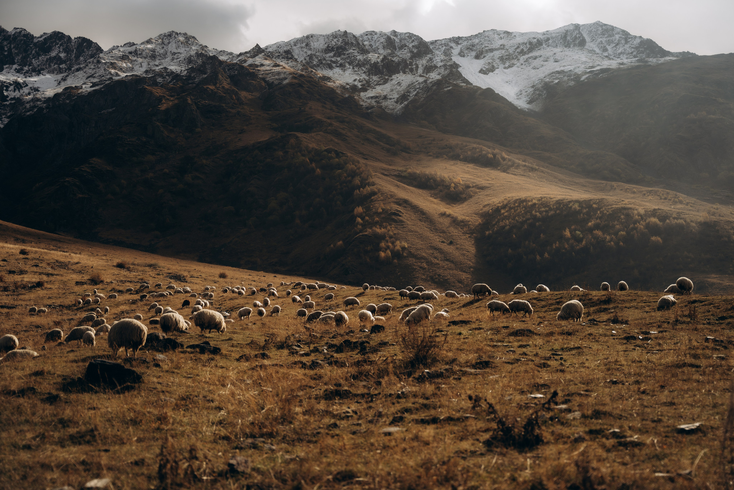 Грузия. Фотограф в Минске — Мария Миллс