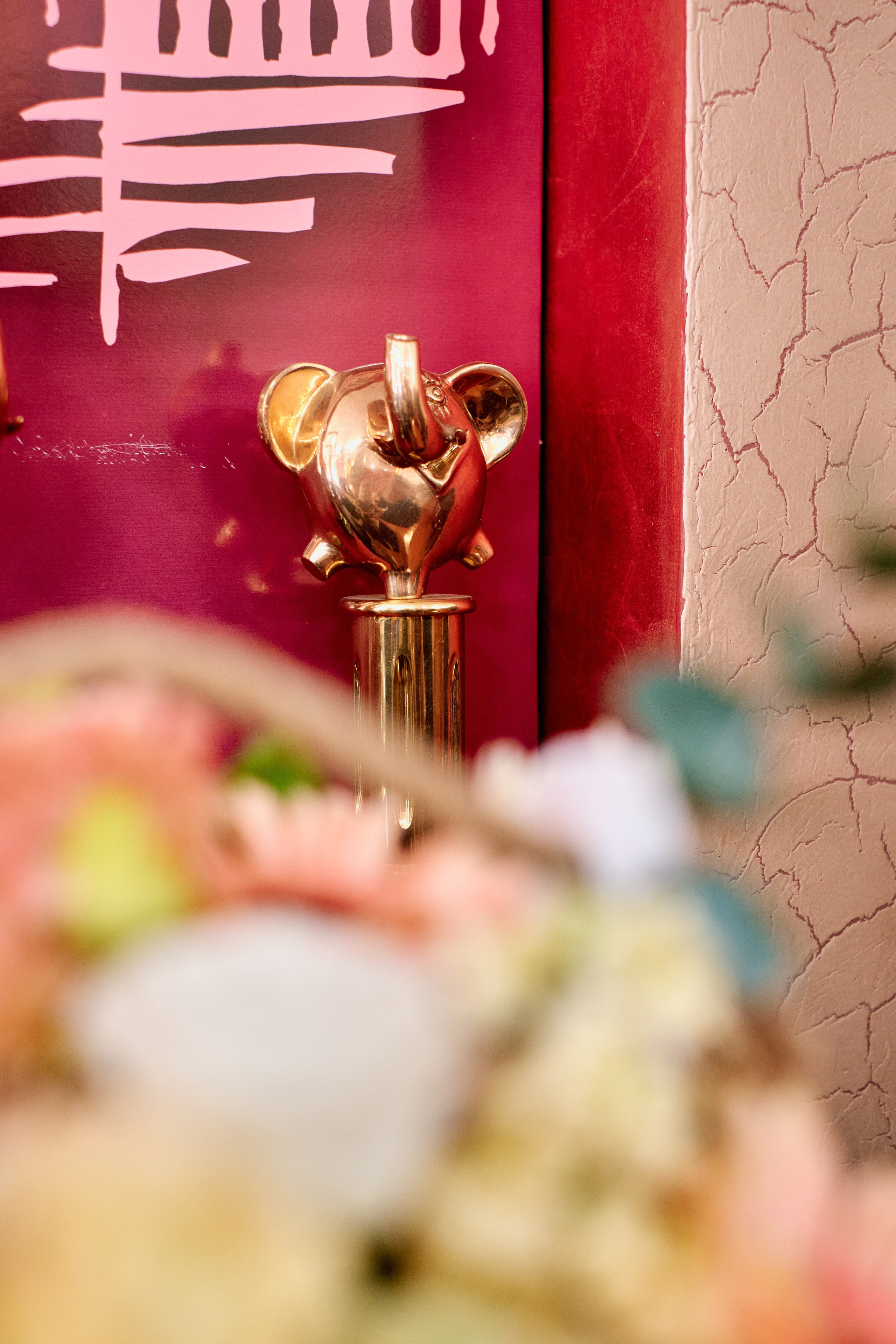 Открытие туристической компании «Розовый слон». Фотограф Таганрог Анна Трайжон