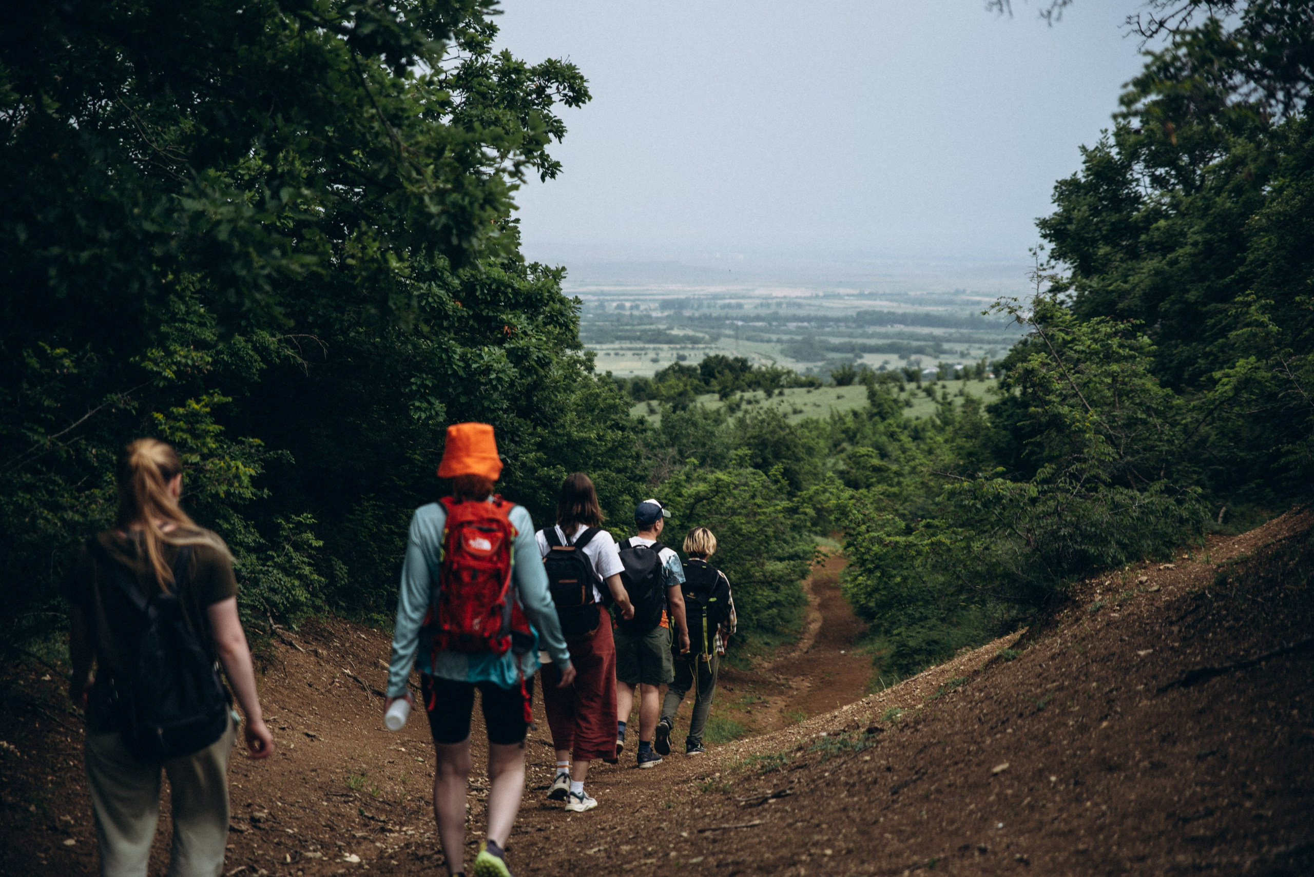 Коджори, Грузия 🇬🇪 «Honey Trip». Anita_photo