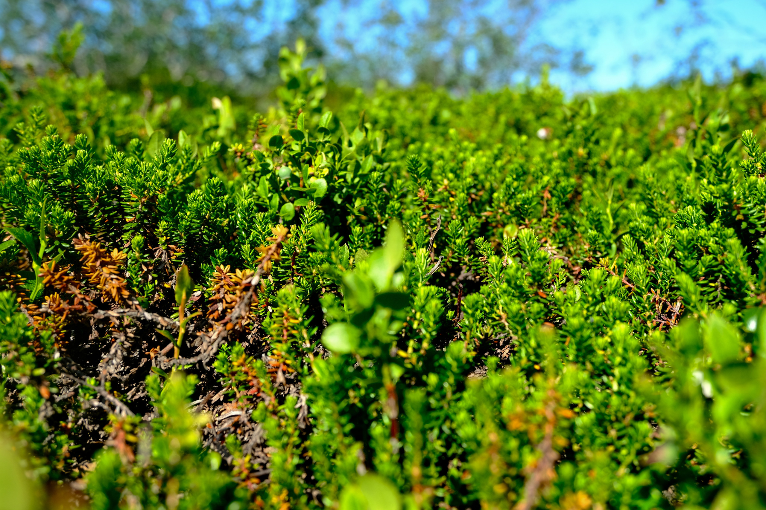 МУРМАНСК. Фотографии из путешествий