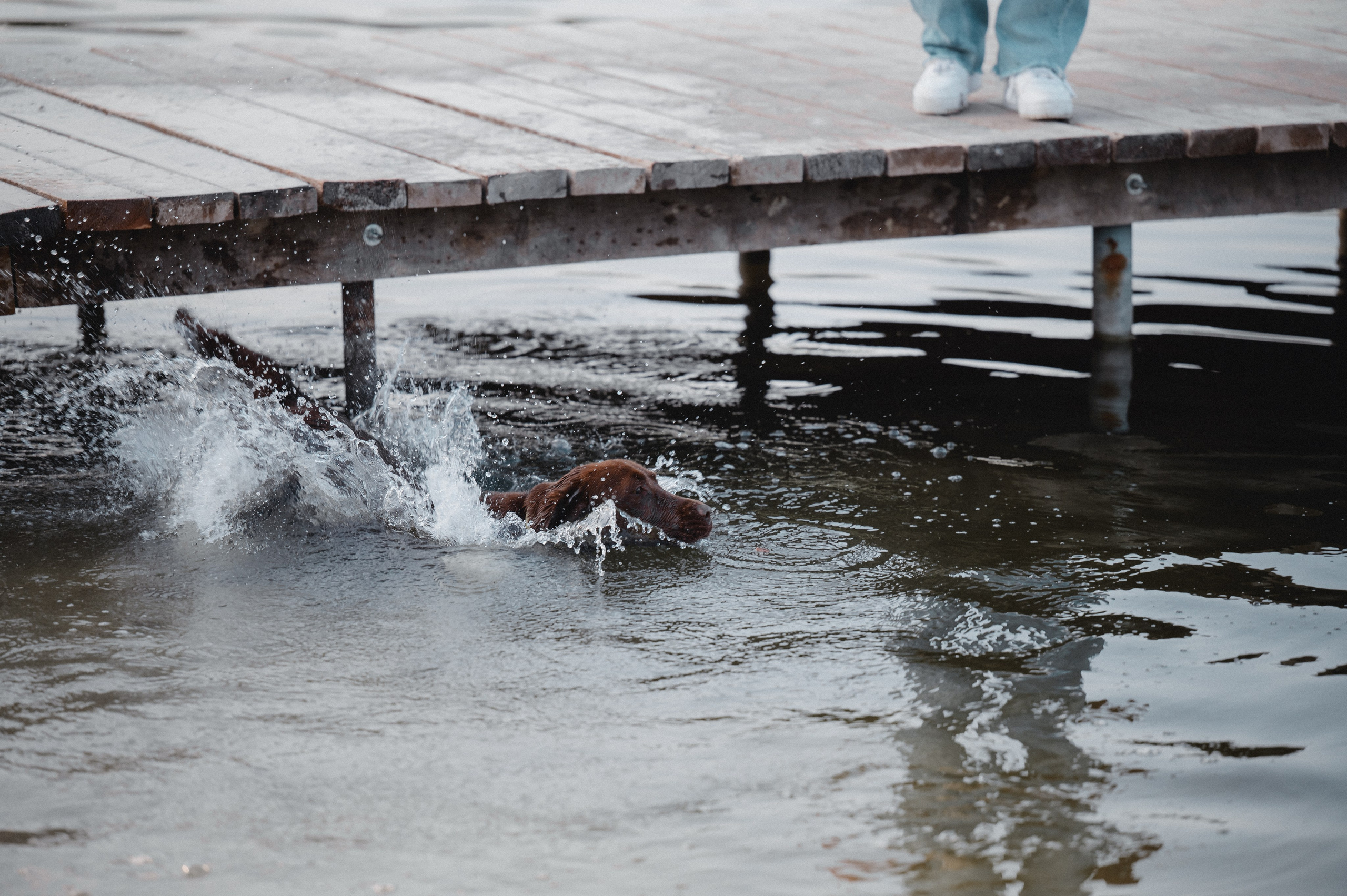 Анечка и Дэя. Фотограф в Ростове —на — Дону