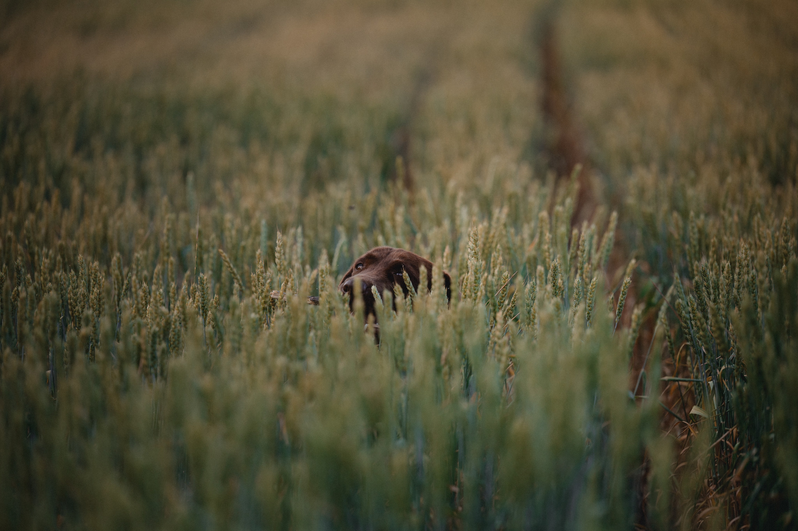 Анечка и Дэя. Фотограф в Ростове —на — Дону