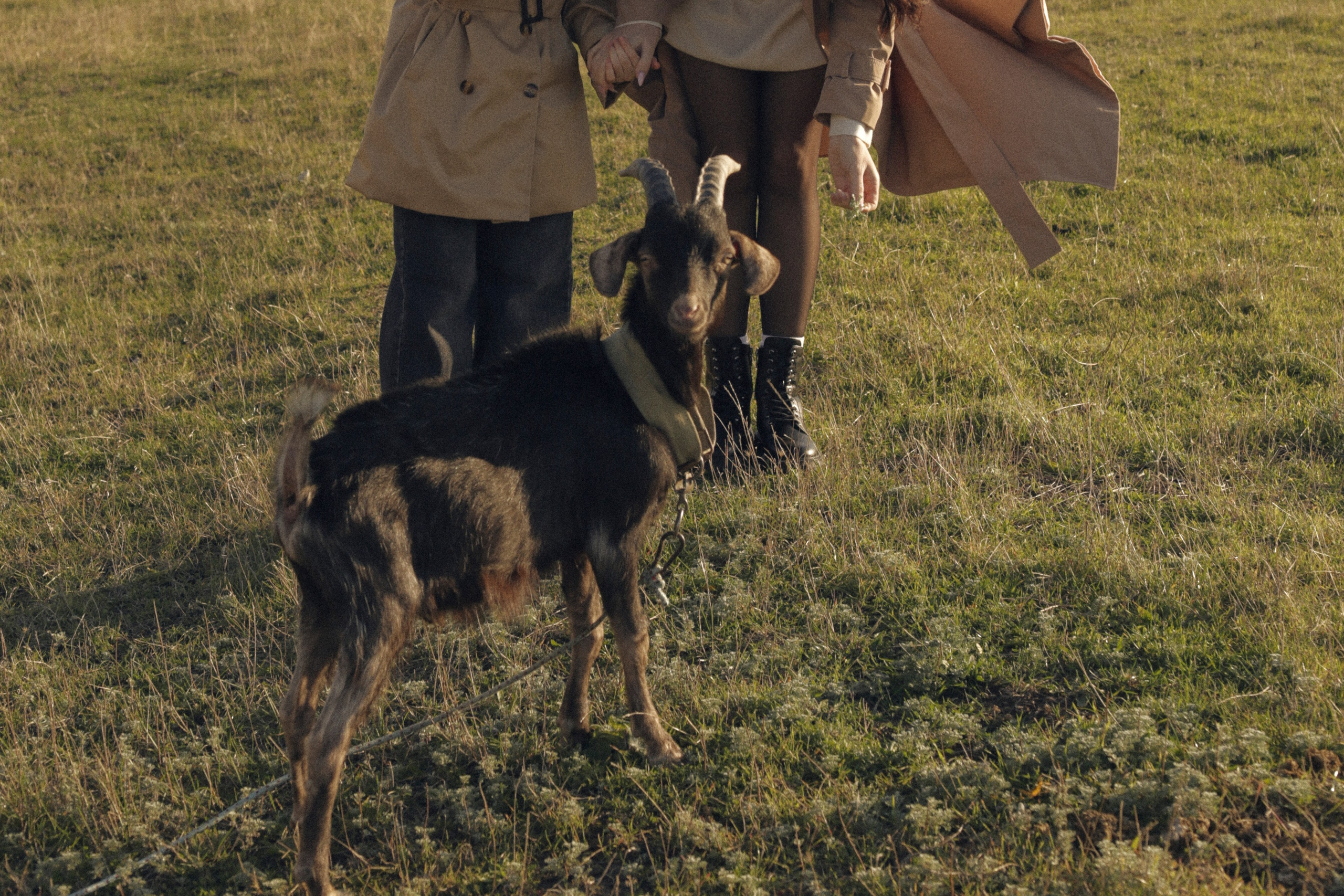 Диана и Алиса | Звездопад воспоминаний. Семейный фотограф в Феодосии и по Крыму Брежнева Алла