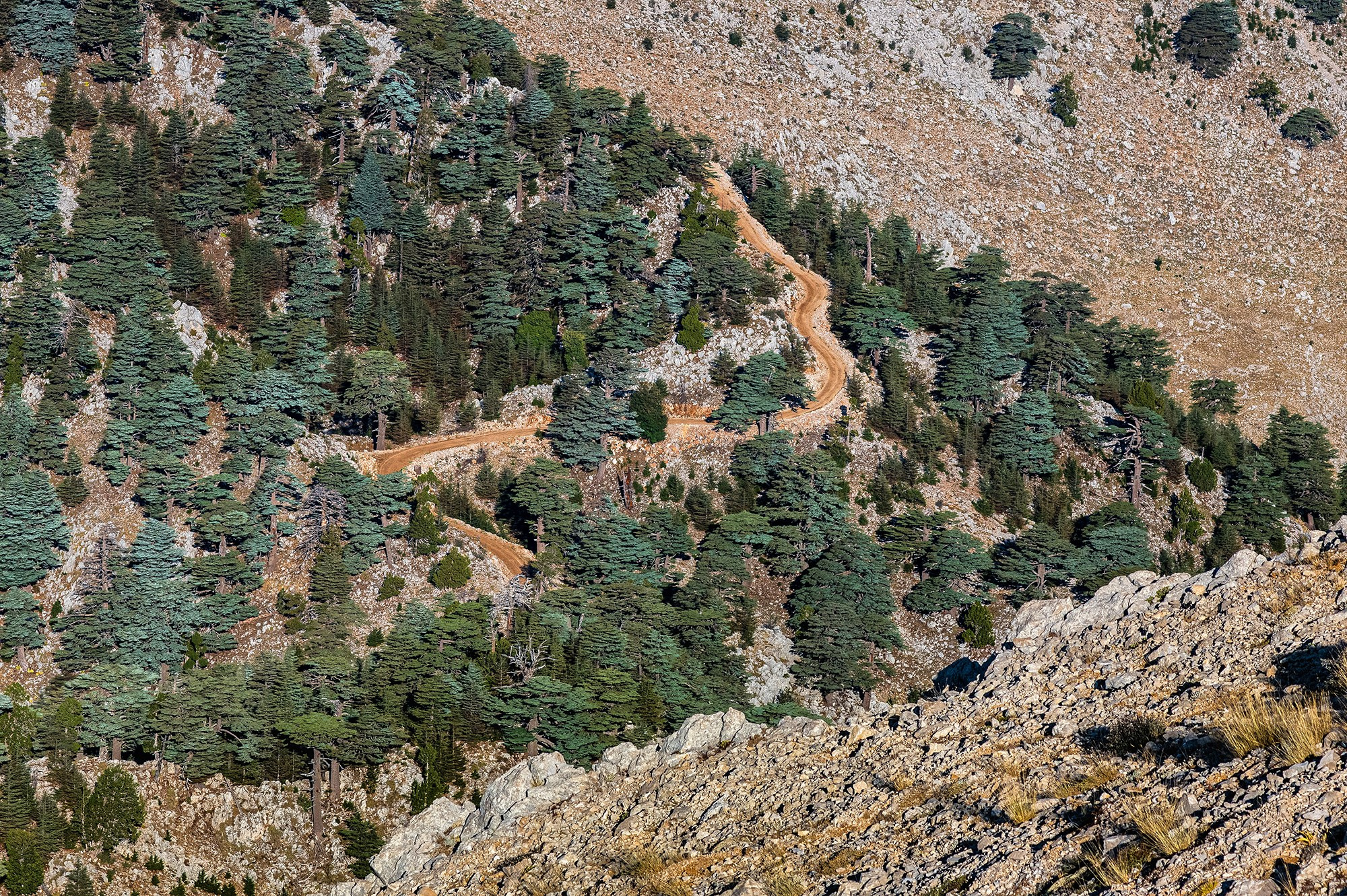 Пейзажи. Репортажный фотограф в Ижевске Константин Ившин