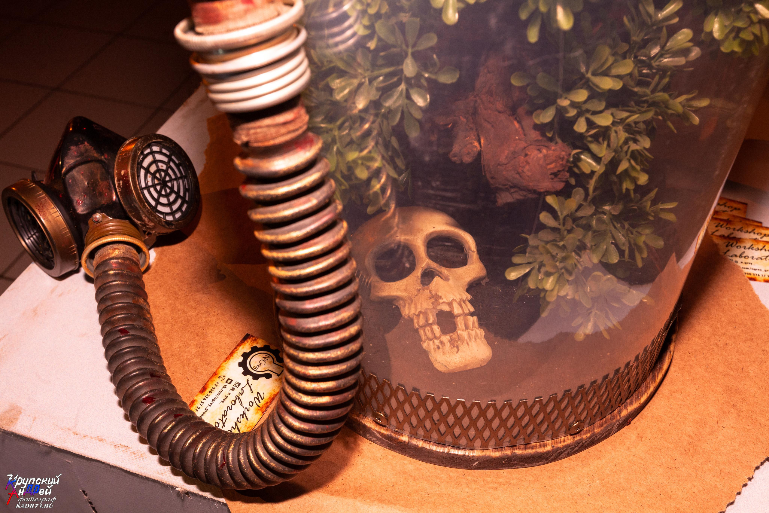 Выставка стимпанк (steampunk) в «Добродее» (г. Тула). Фотограф в Туле Крупский АнДРей. Фотостудия «КАДР71» в Туле