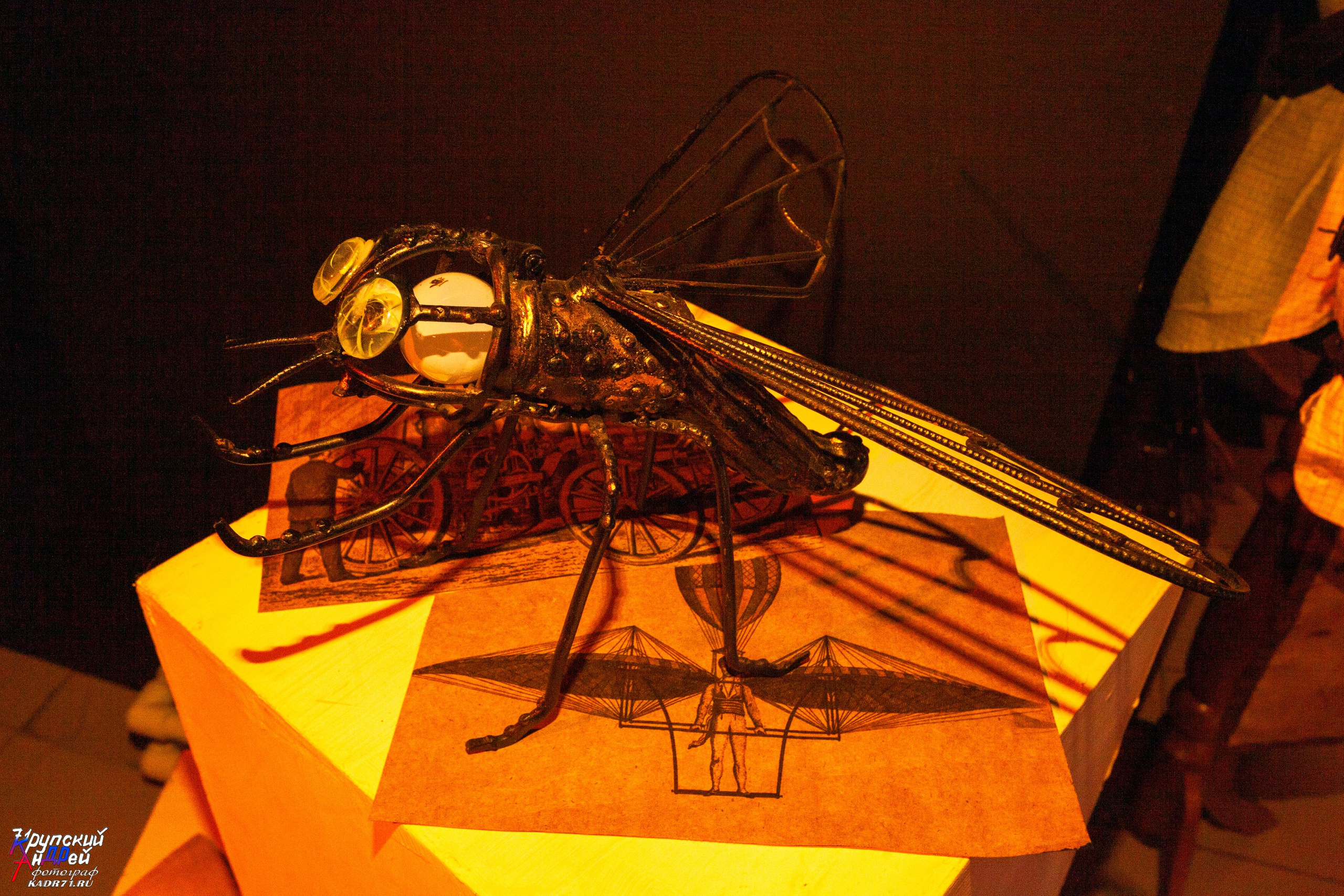 Выставка стимпанк (steampunk) в «Добродее» (г. Тула). Фотограф в Туле Крупский АнДРей. Фотостудия «КАДР71» в Туле