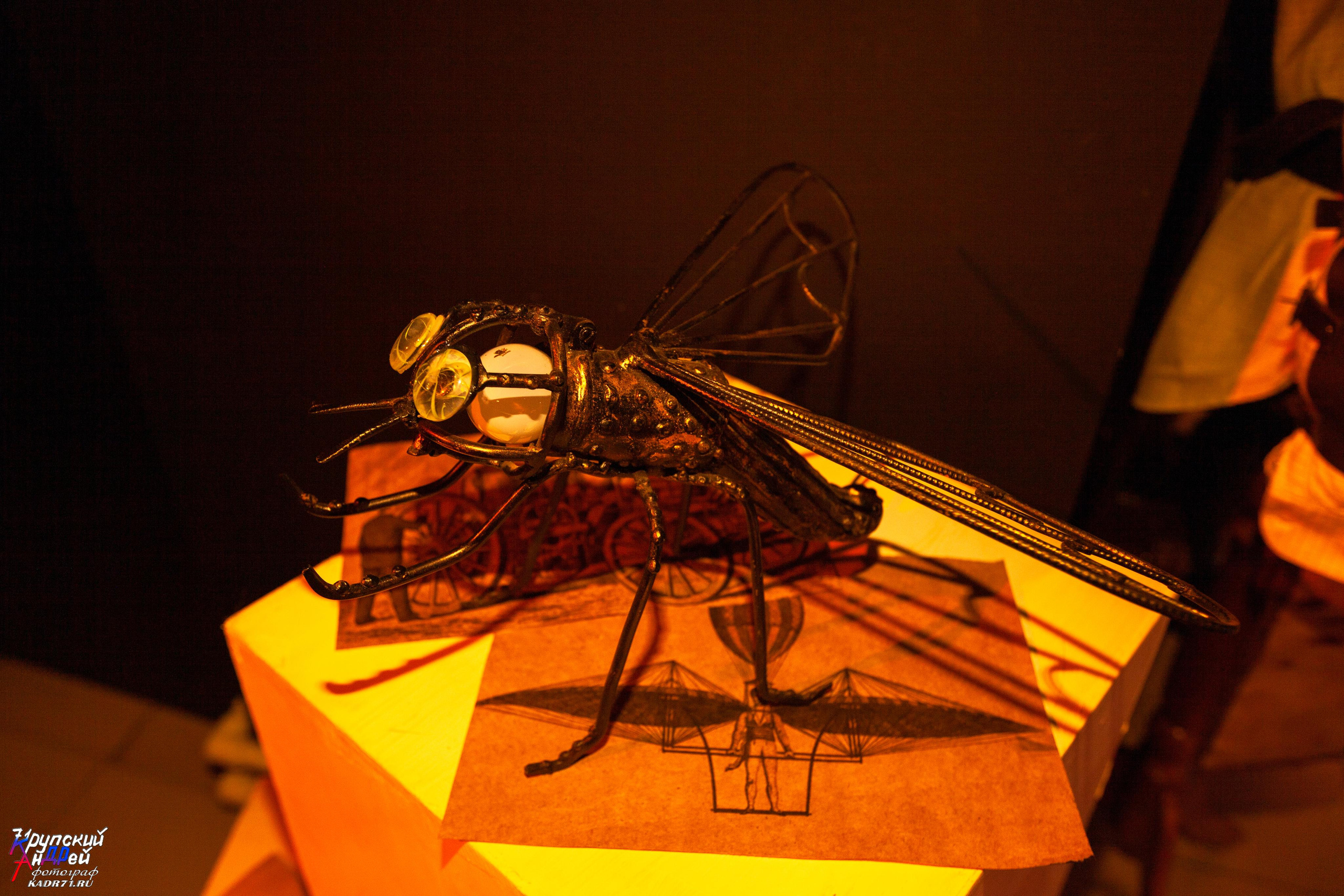 Выставка стимпанк (steampunk) в «Добродее» (г. Тула). Фотограф в Туле Крупский АнДРей. Фотостудия «КАДР71» в Туле