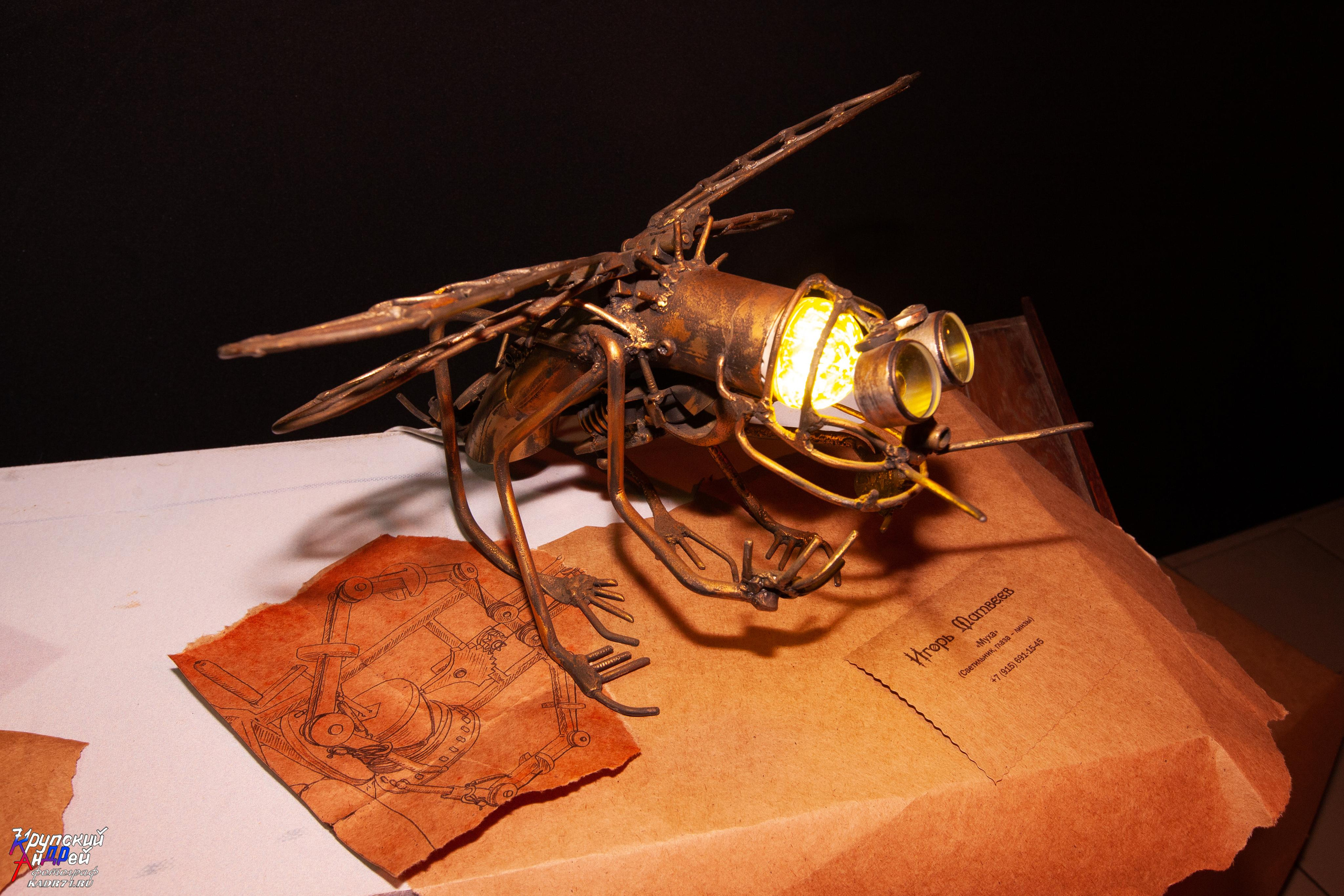 Выставка стимпанк (steampunk) в «Добродее» (г. Тула). Фотограф в Туле Крупский АнДРей. Фотостудия «КАДР71» в Туле