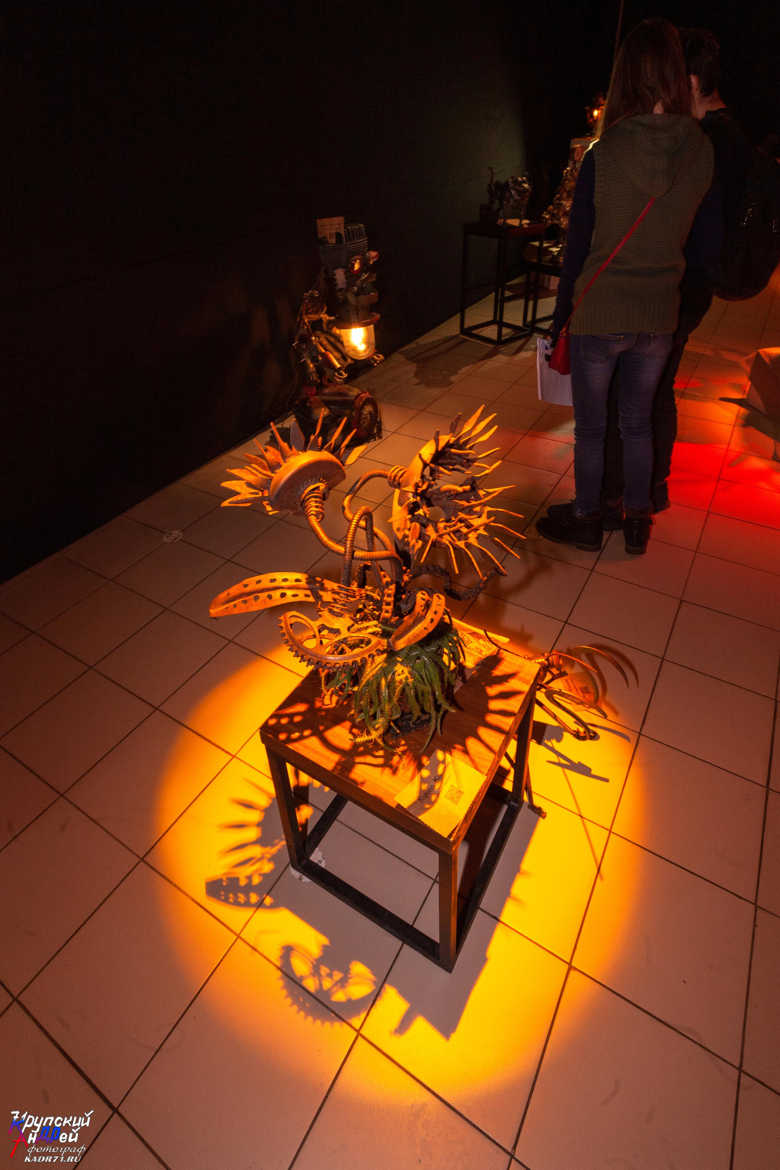 Выставка стимпанк (steampunk) в «Добродее» (г. Тула). Фотограф в Туле Крупский АнДРей. Фотостудия «КАДР71» в Туле