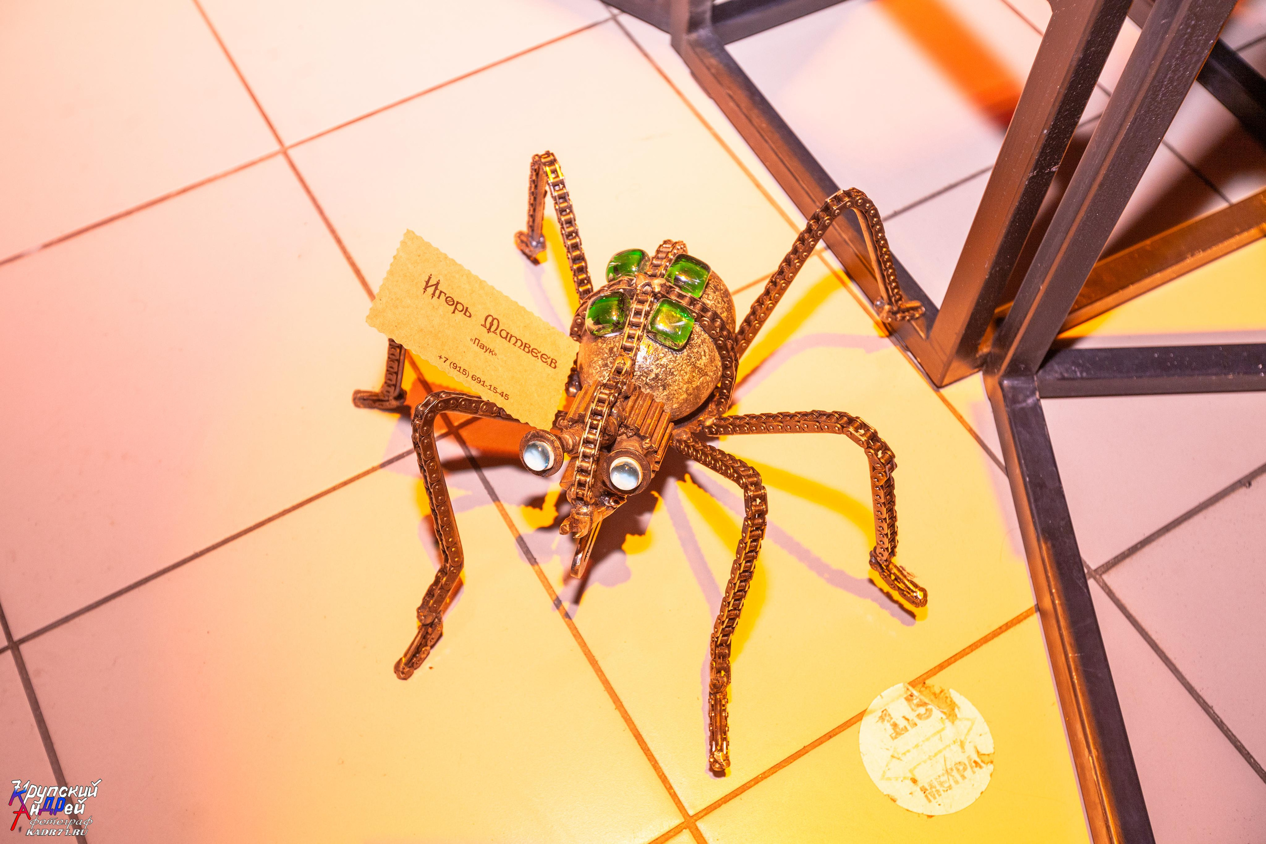 Выставка стимпанк (steampunk) в «Добродее» (г. Тула). Фотограф в Туле Крупский АнДРей. Фотостудия «КАДР71» в Туле