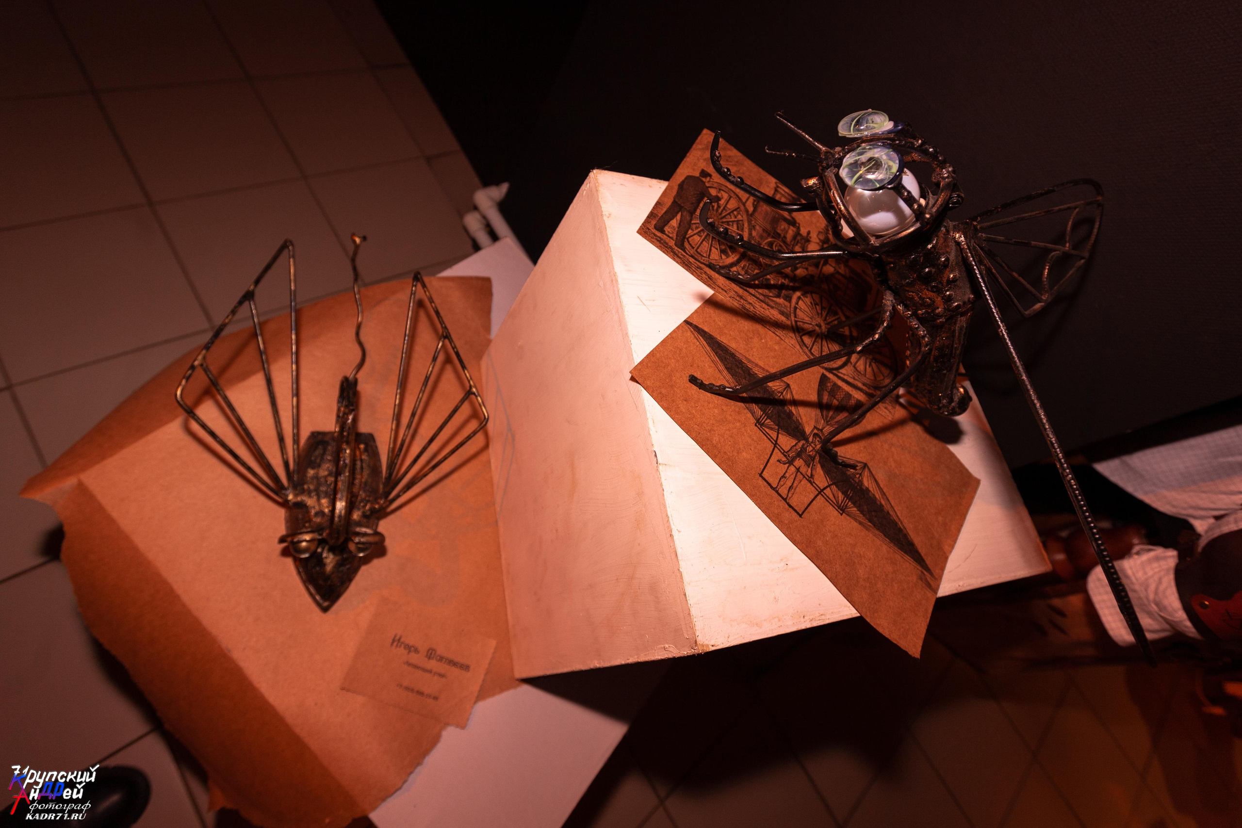 Выставка стимпанк (steampunk) в «Добродее» (г. Тула). Фотограф в Туле Крупский АнДРей. Фотостудия «КАДР71» в Туле