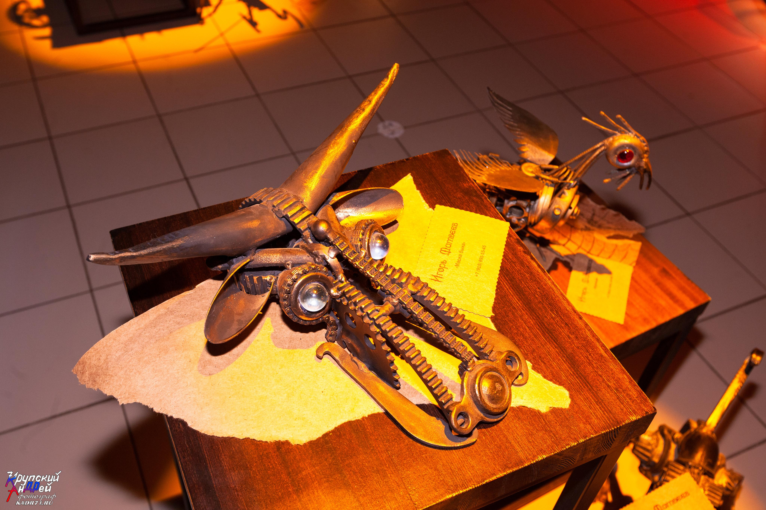 Выставка стимпанк (steampunk) в «Добродее» (г. Тула). Фотограф в Туле Крупский АнДРей. Фотостудия «КАДР71» в Туле