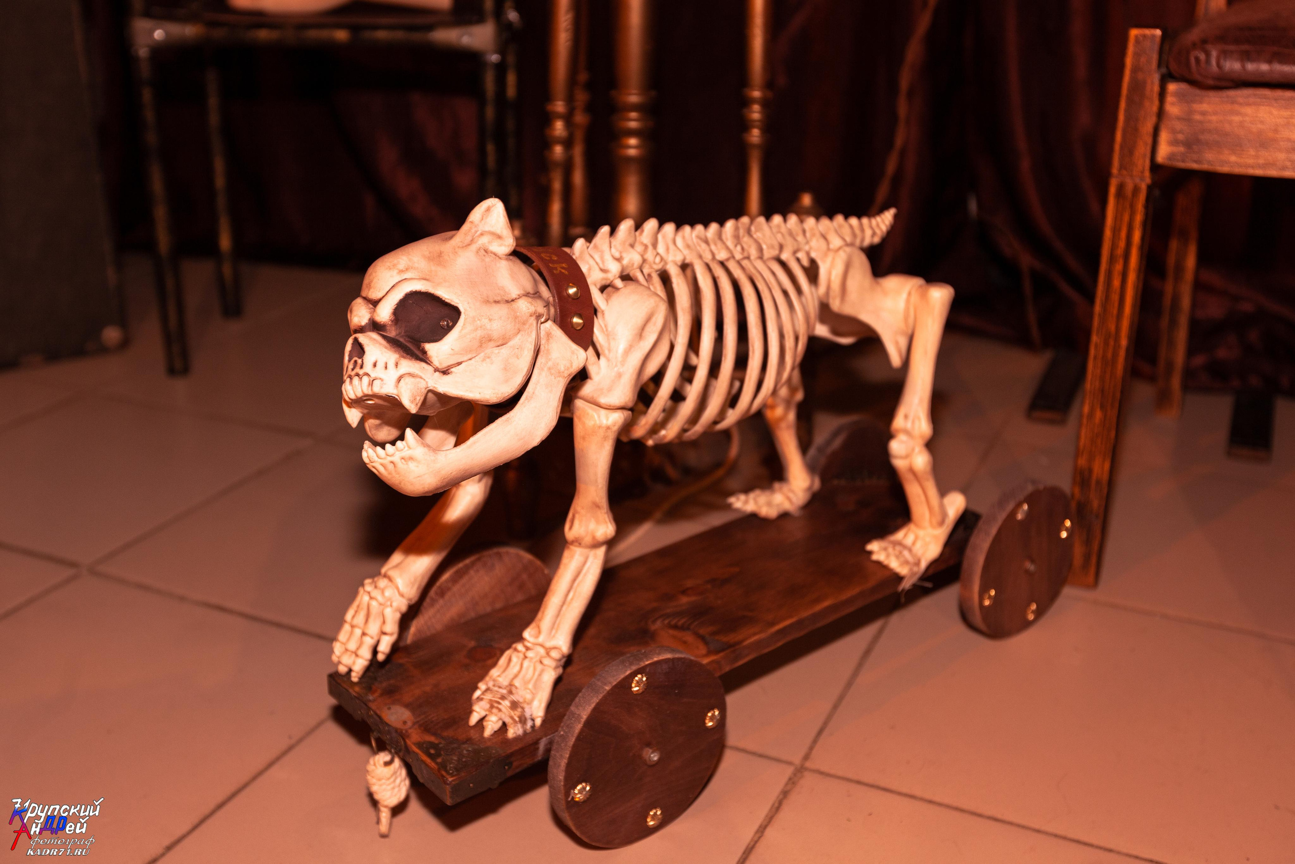 Выставка стимпанк (steampunk) в «Добродее» (г. Тула). Фотограф в Туле Крупский АнДРей. Фотостудия «КАДР71» в Туле