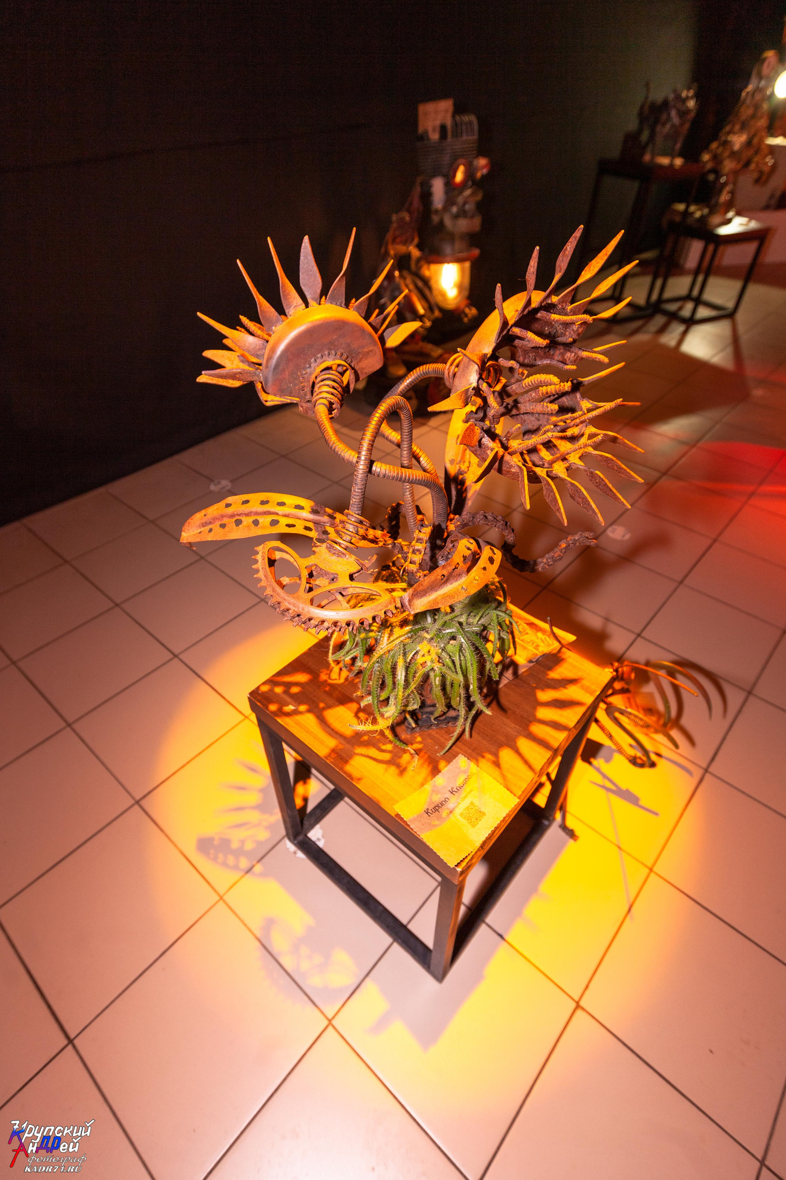 Выставка стимпанк (steampunk) в «Добродее» (г. Тула). Фотограф в Туле Крупский АнДРей. Фотостудия «КАДР71» в Туле