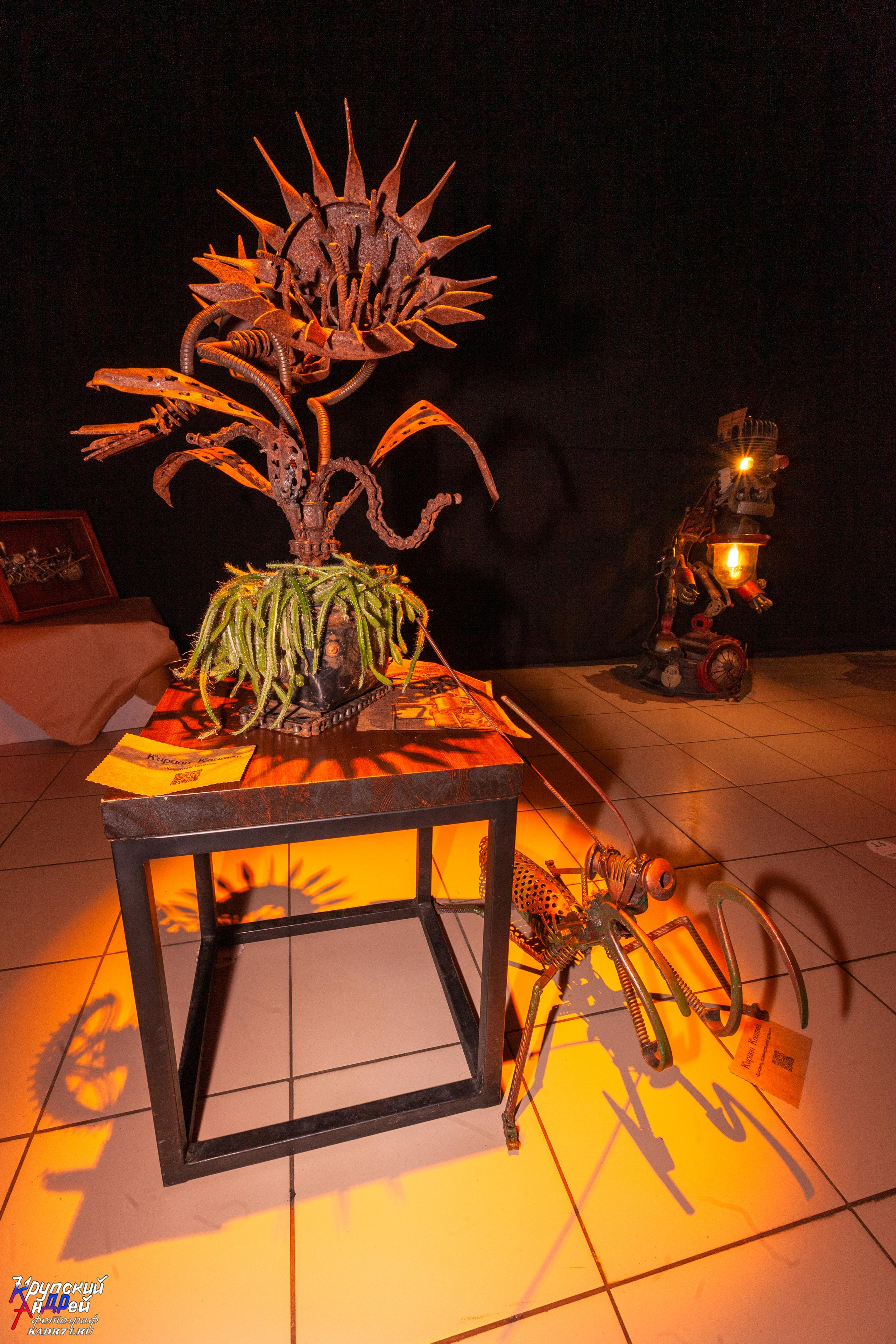 Выставка стимпанк (steampunk) в «Добродее» (г. Тула). Фотограф в Туле Крупский АнДРей. Фотостудия «КАДР71» в Туле