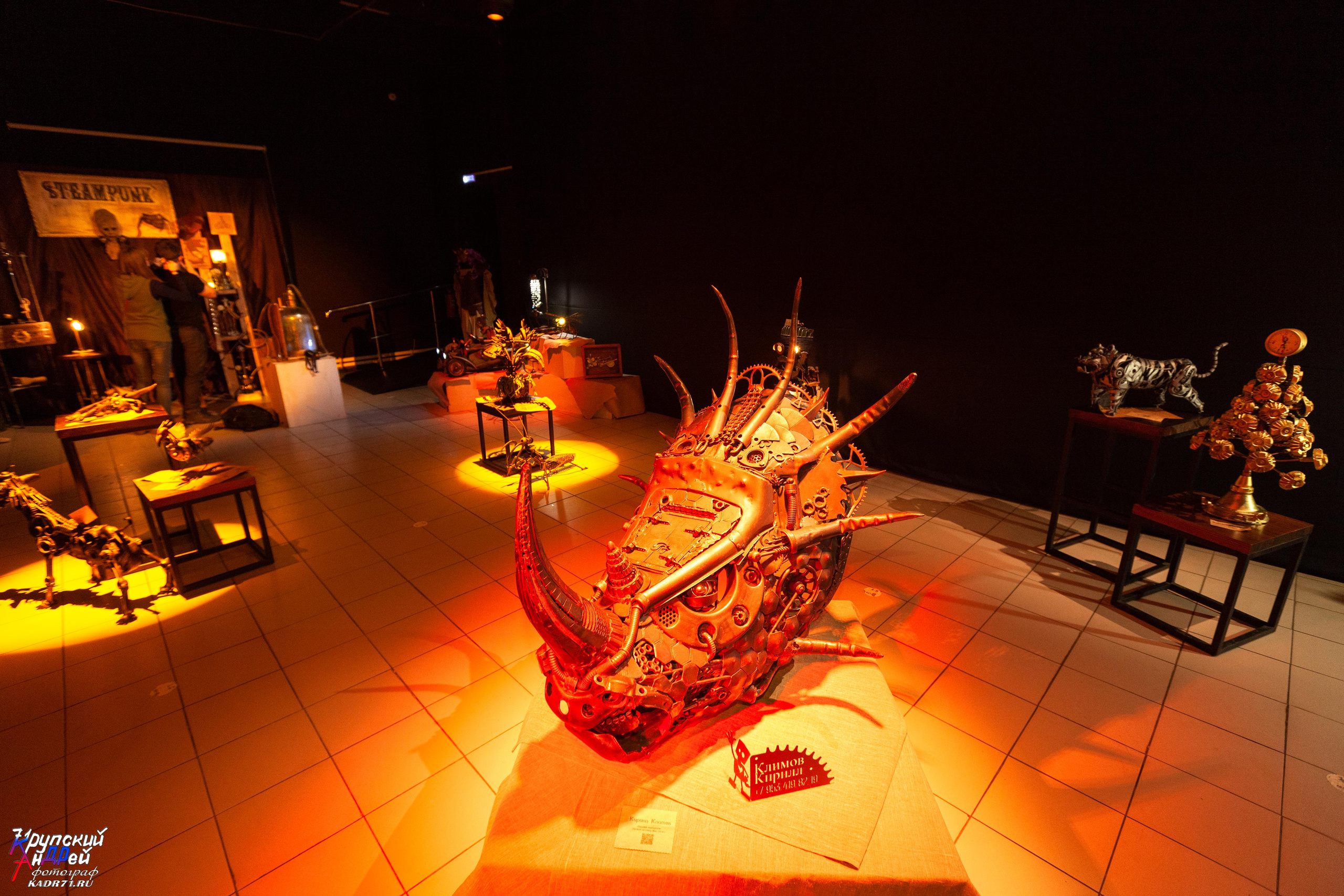 Выставка стимпанк (steampunk) в «Добродее» (г. Тула). Фотограф в Туле Крупский АнДРей. Фотостудия «КАДР71» в Туле