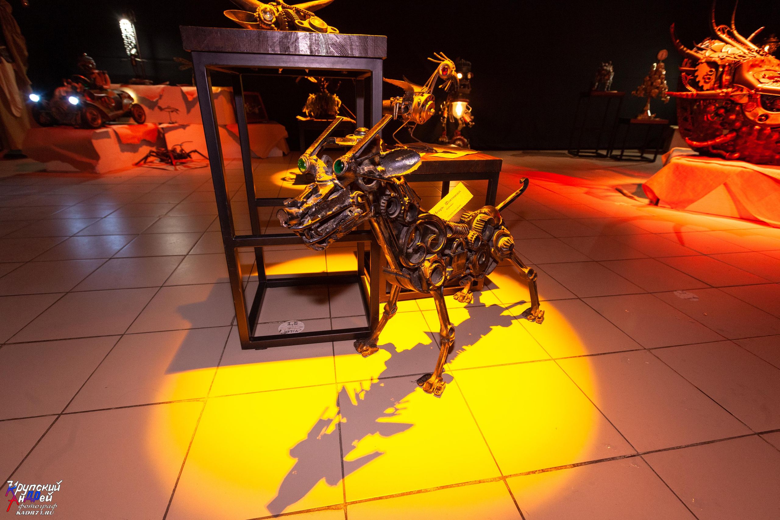 Выставка стимпанк (steampunk) в «Добродее» (г. Тула). Фотограф в Туле Крупский АнДРей. Фотостудия «КАДР71» в Туле