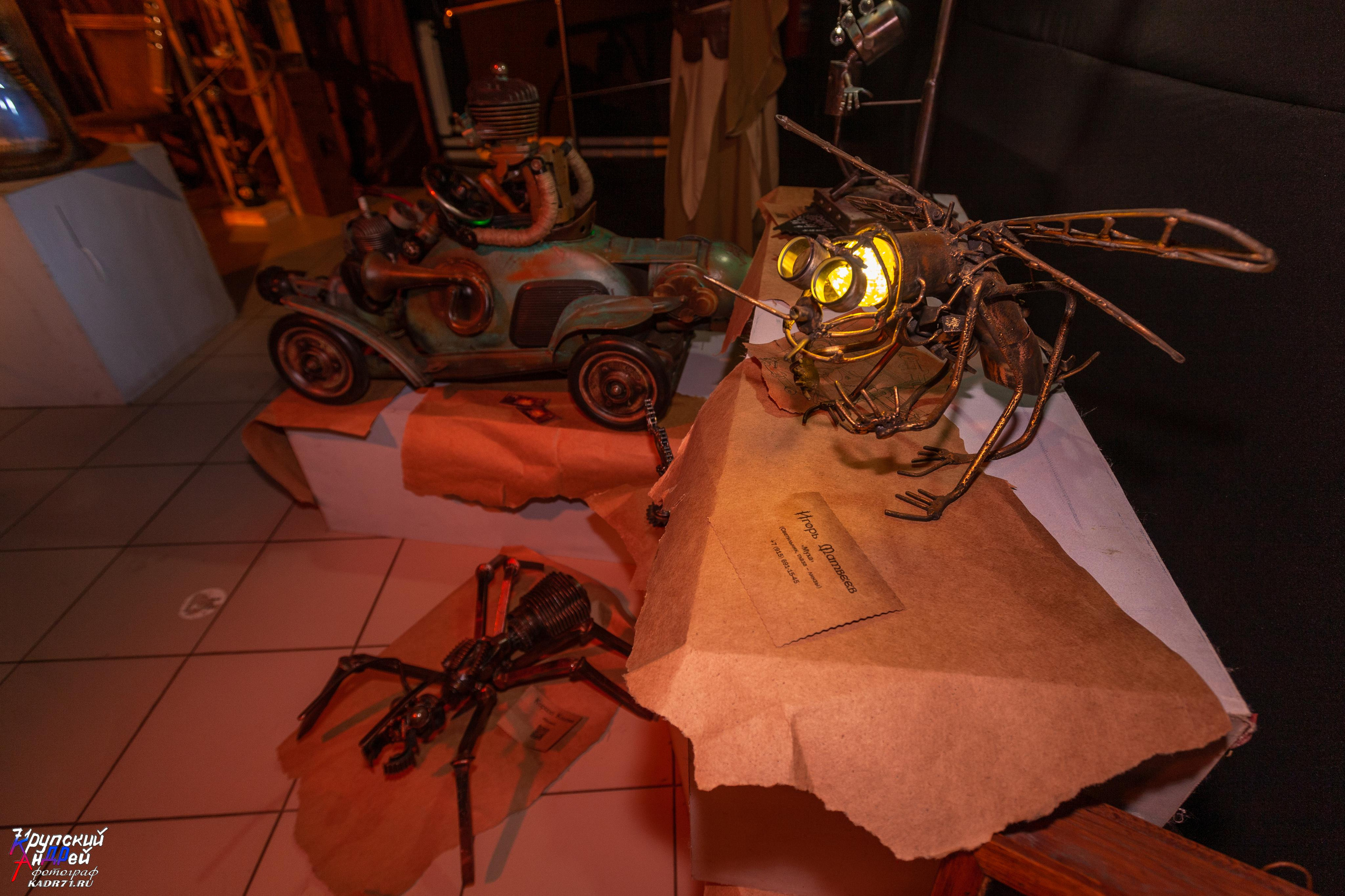 Выставка стимпанк (steampunk) в «Добродее» (г. Тула). Фотограф в Туле Крупский АнДРей. Фотостудия «КАДР71» в Туле